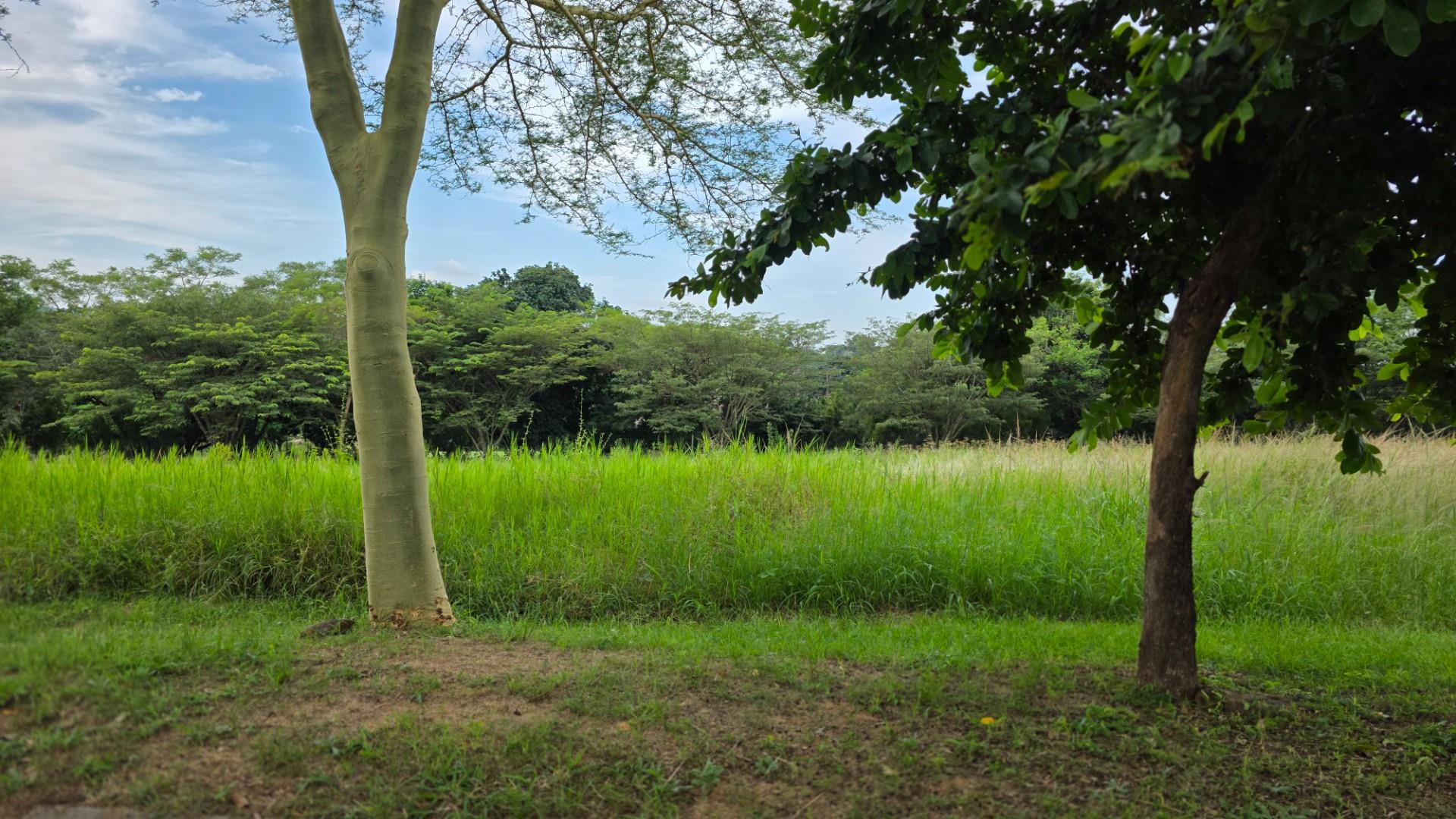Vacant Land For Sale in Hazyview