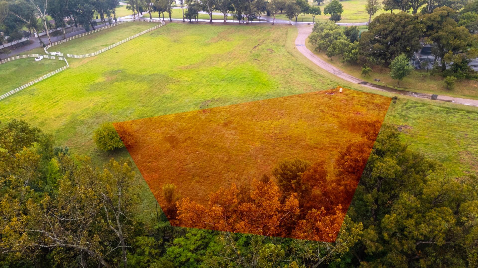 Stand On A Greenbelt  In Blair Atholl Golf And Equestrian Estate