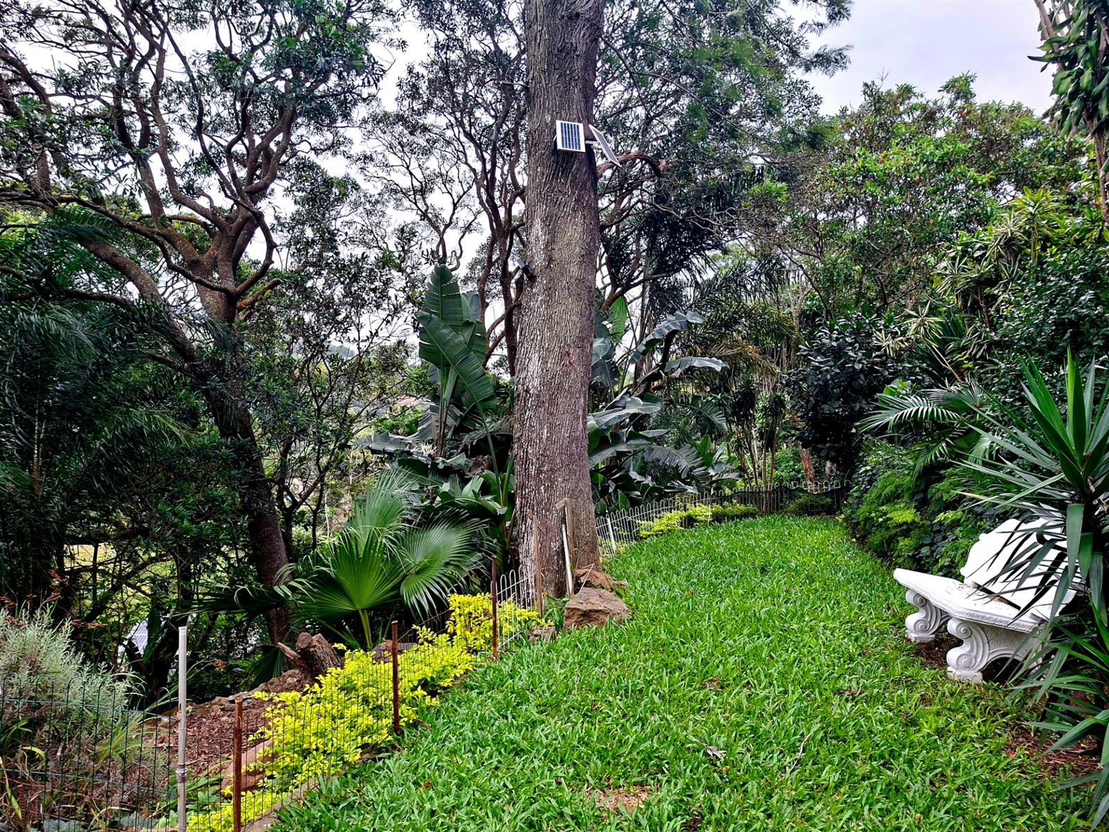 Back on the market - 2 Bedroom cottage To Rent in Westville, Durban, KwaZulu Natal