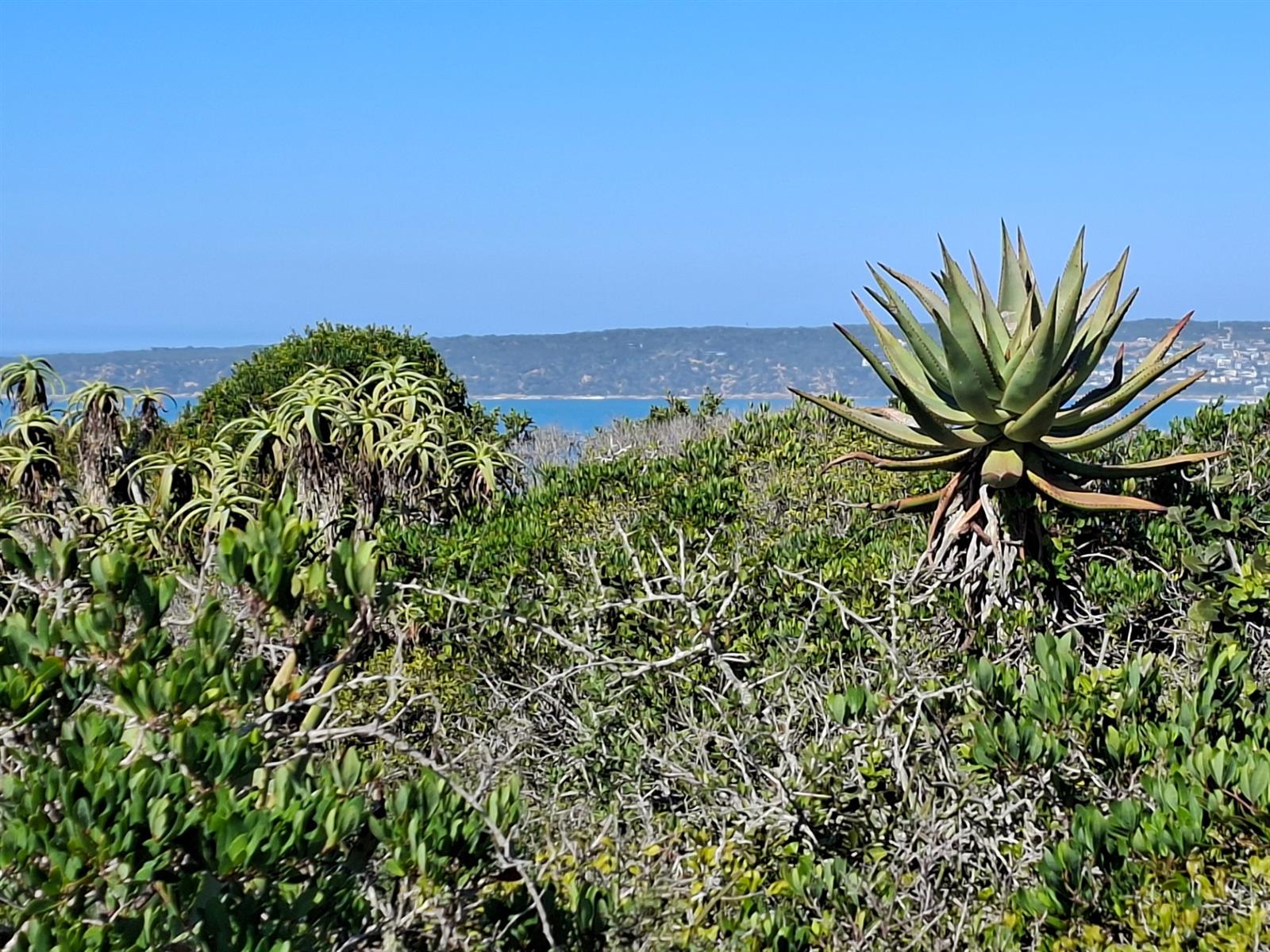 Vacant Land for sale in Springerbaai Eco Estate, Mossel Bay, 1949 m²