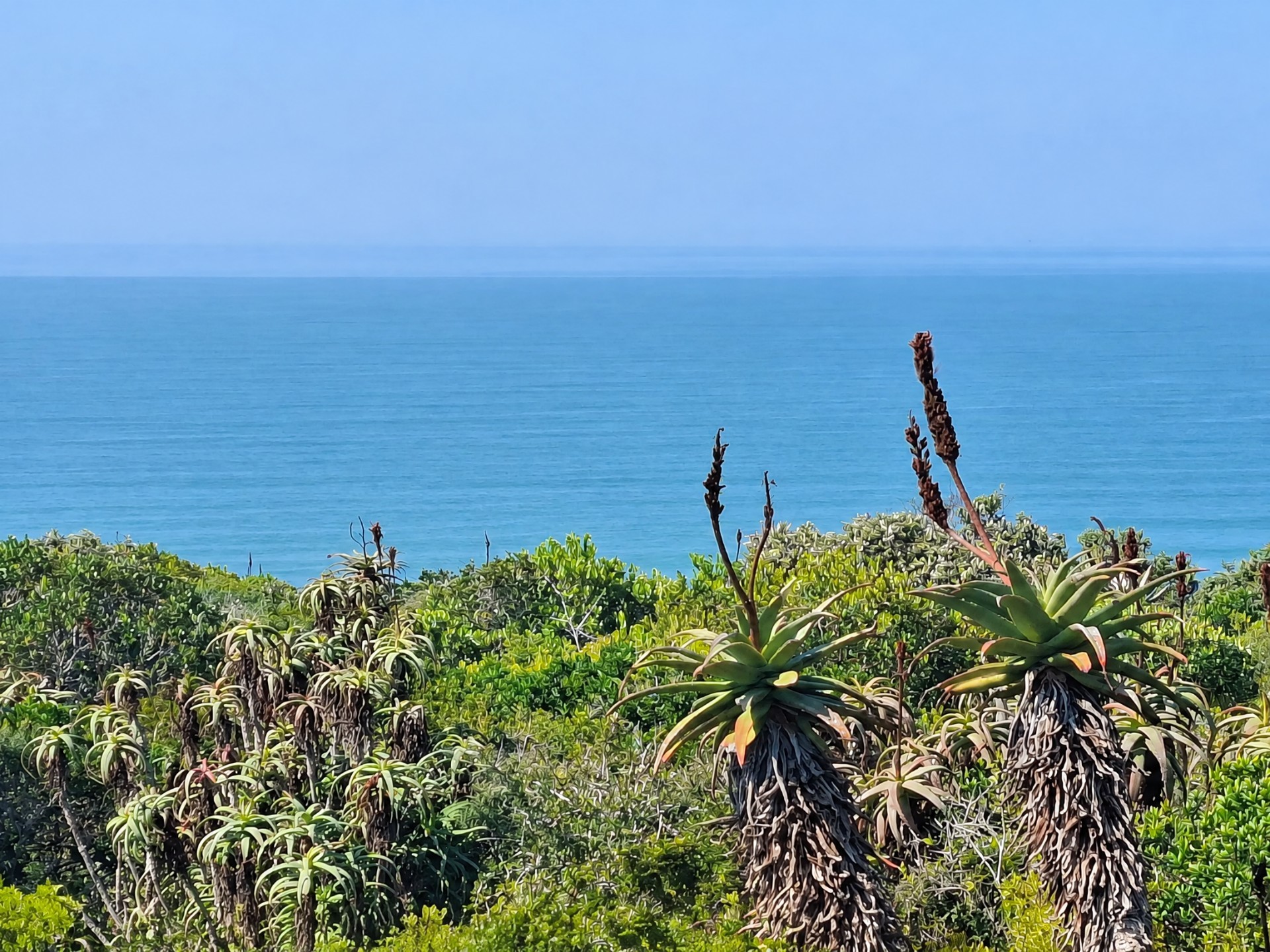 Vacant Land for sale in Springerbaai Eco Estate, Mossel Bay, 1949 m²