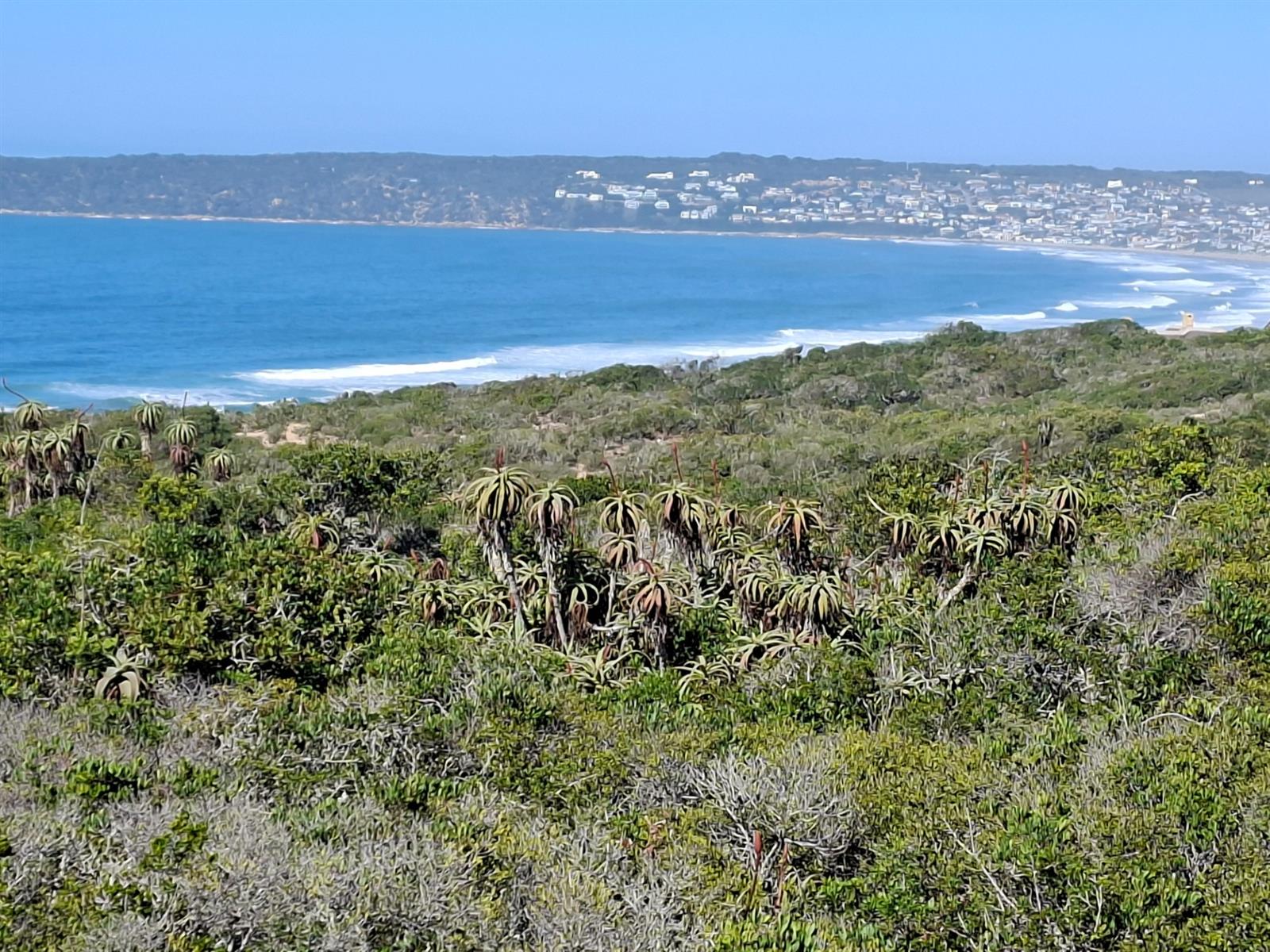 Your Gateway to Off-Grid Coastal Living in Springerbaai