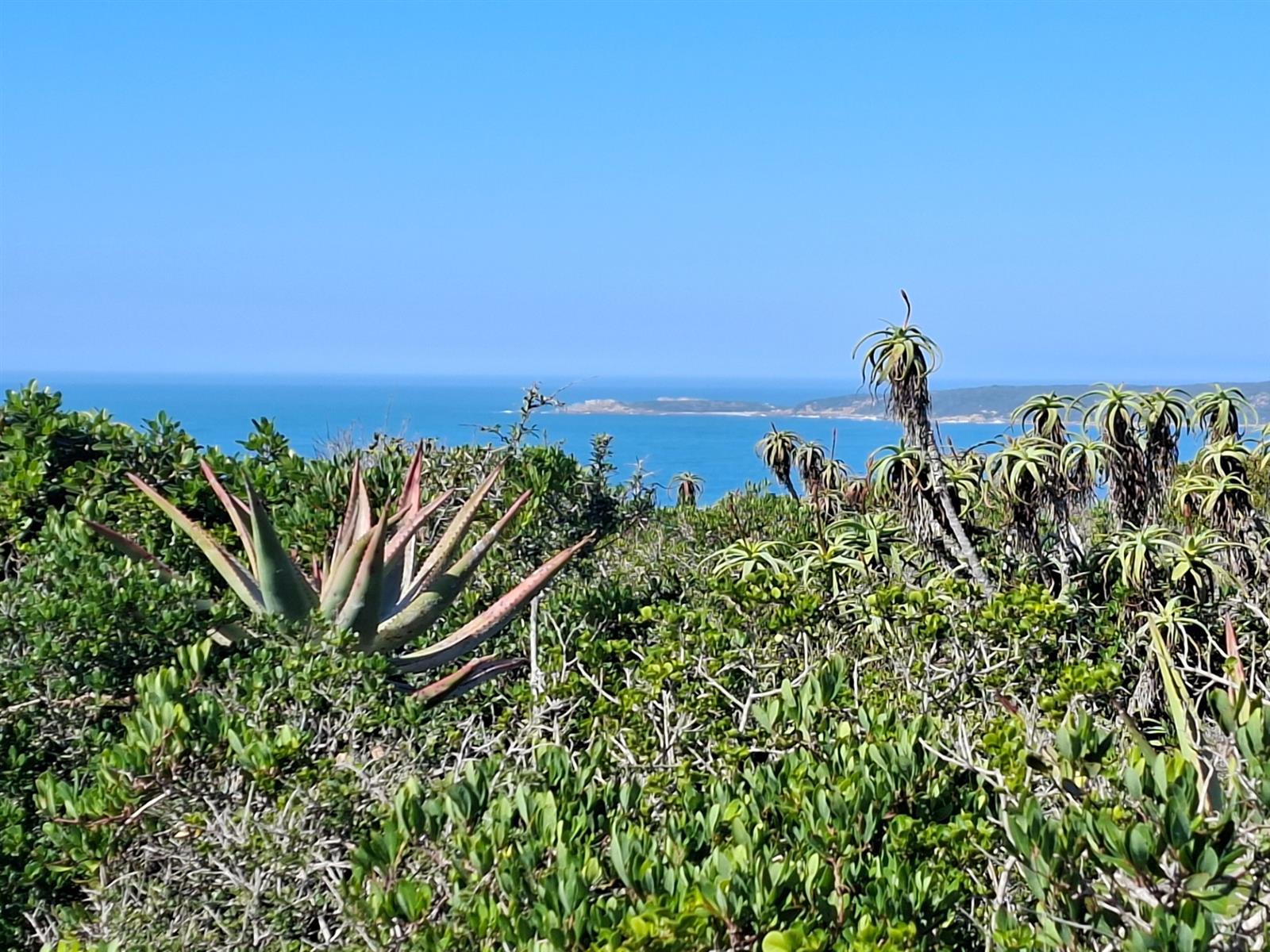 Your Gateway to Off-Grid Coastal Living in Springerbaai