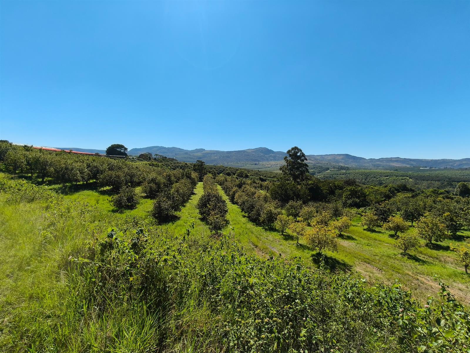 Farm for sale in Nelspruit Rural, Nelspruit, 650000 m²