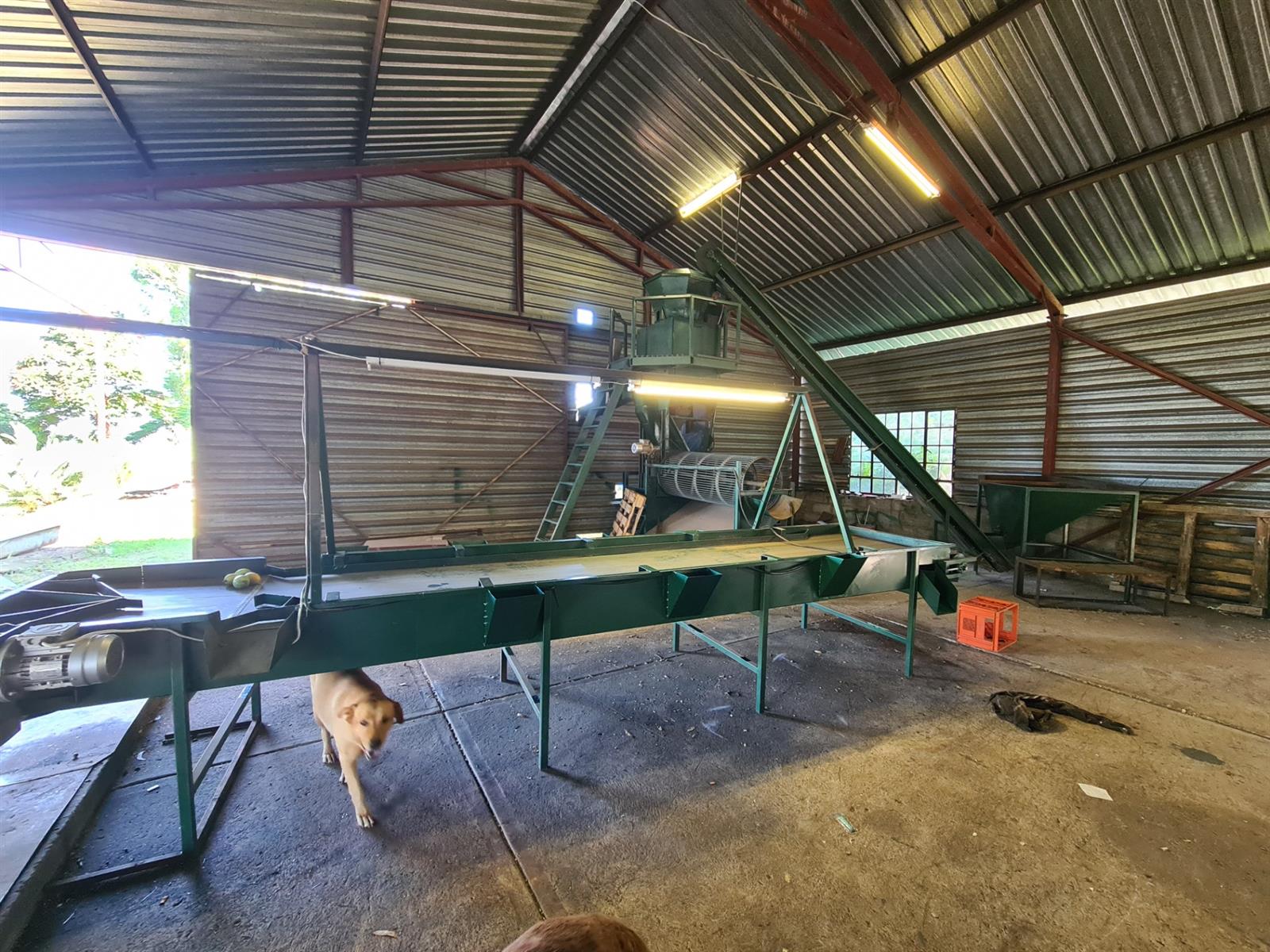 65Ha Macadamia Farm for Sale - Prime Agricultural Holding Near Nelspruit