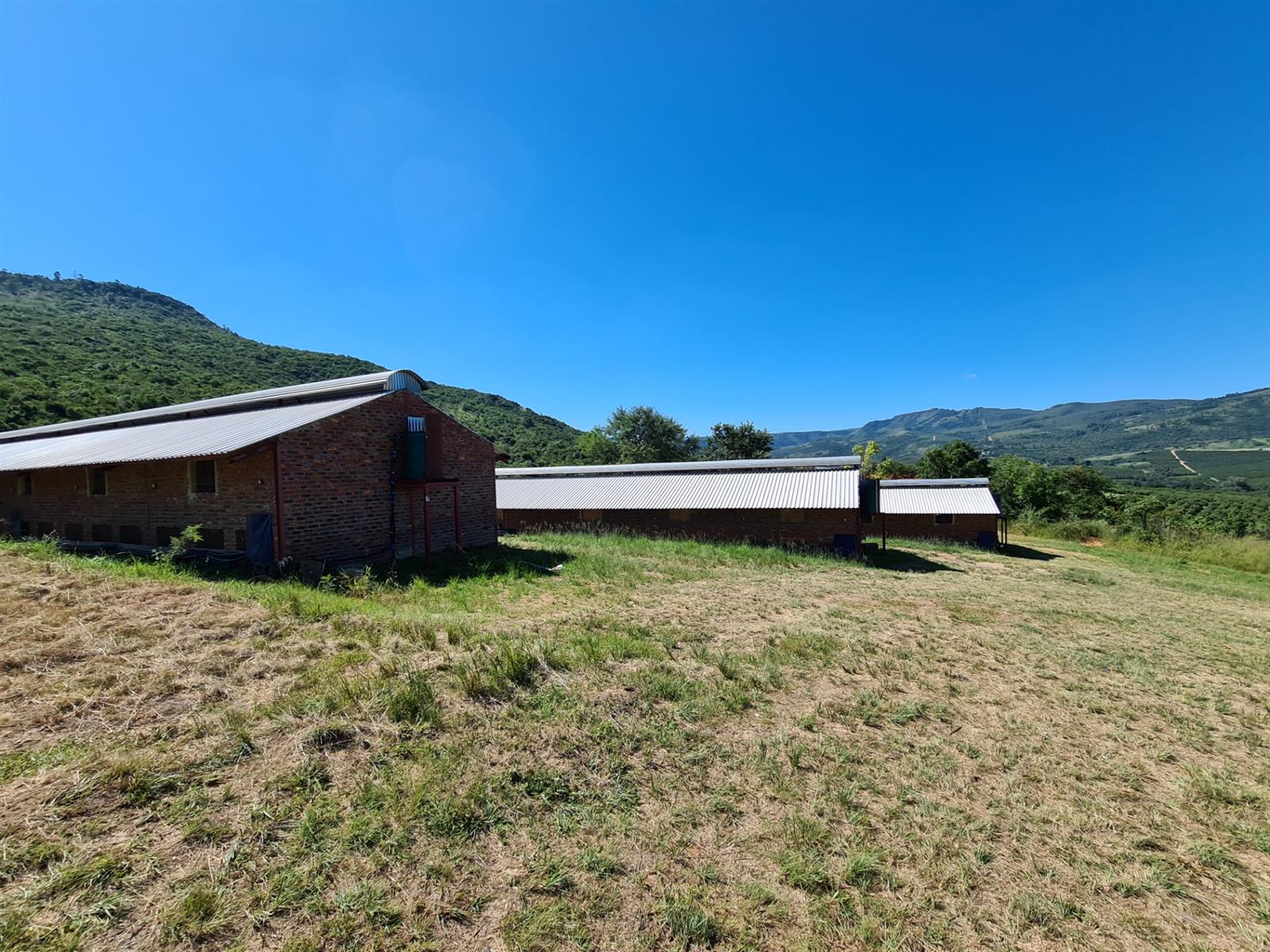 65Ha Macadamia Farm for Sale - Prime Agricultural Holding Near Nelspruit