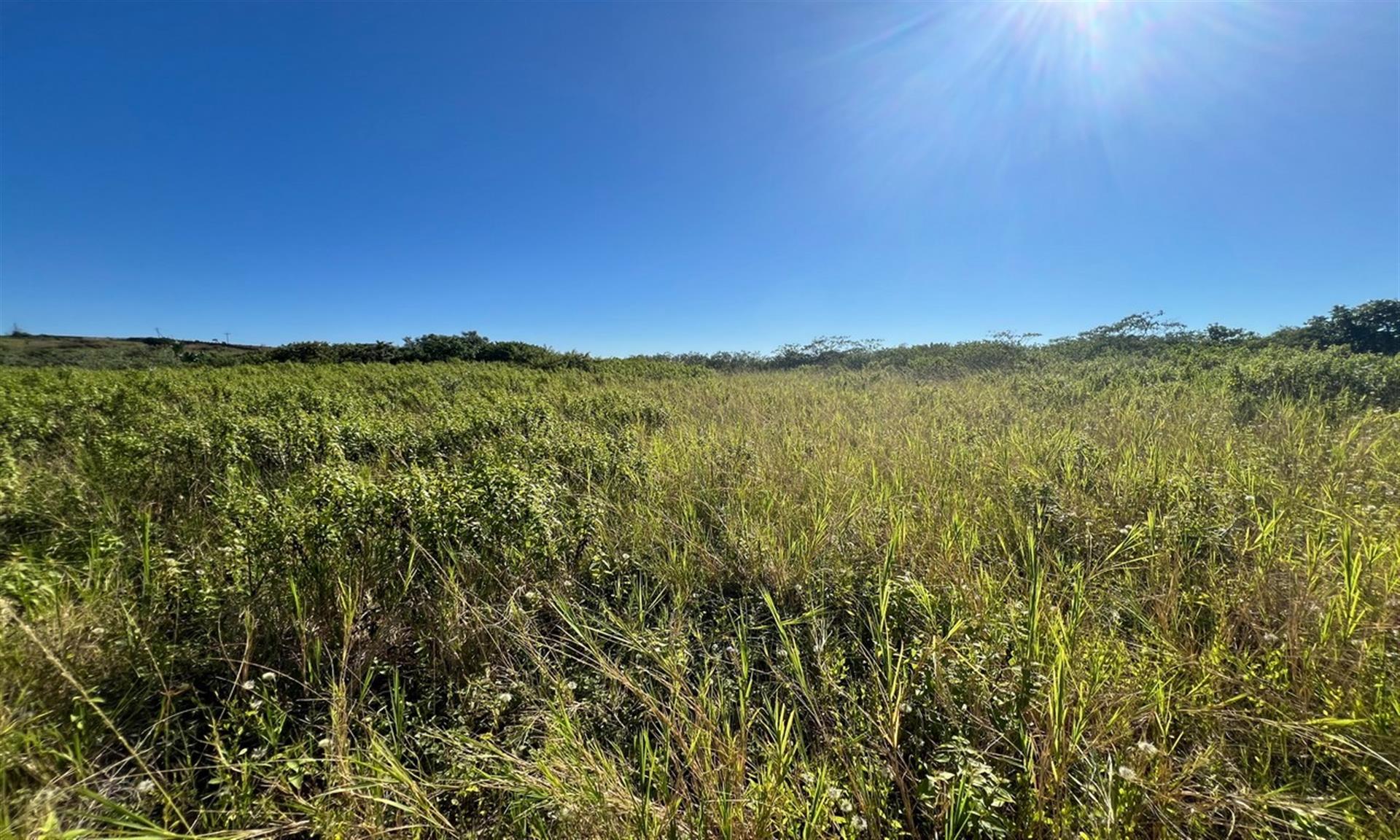 Build your Dream Home in Lalela Estate- No Transfer Duty