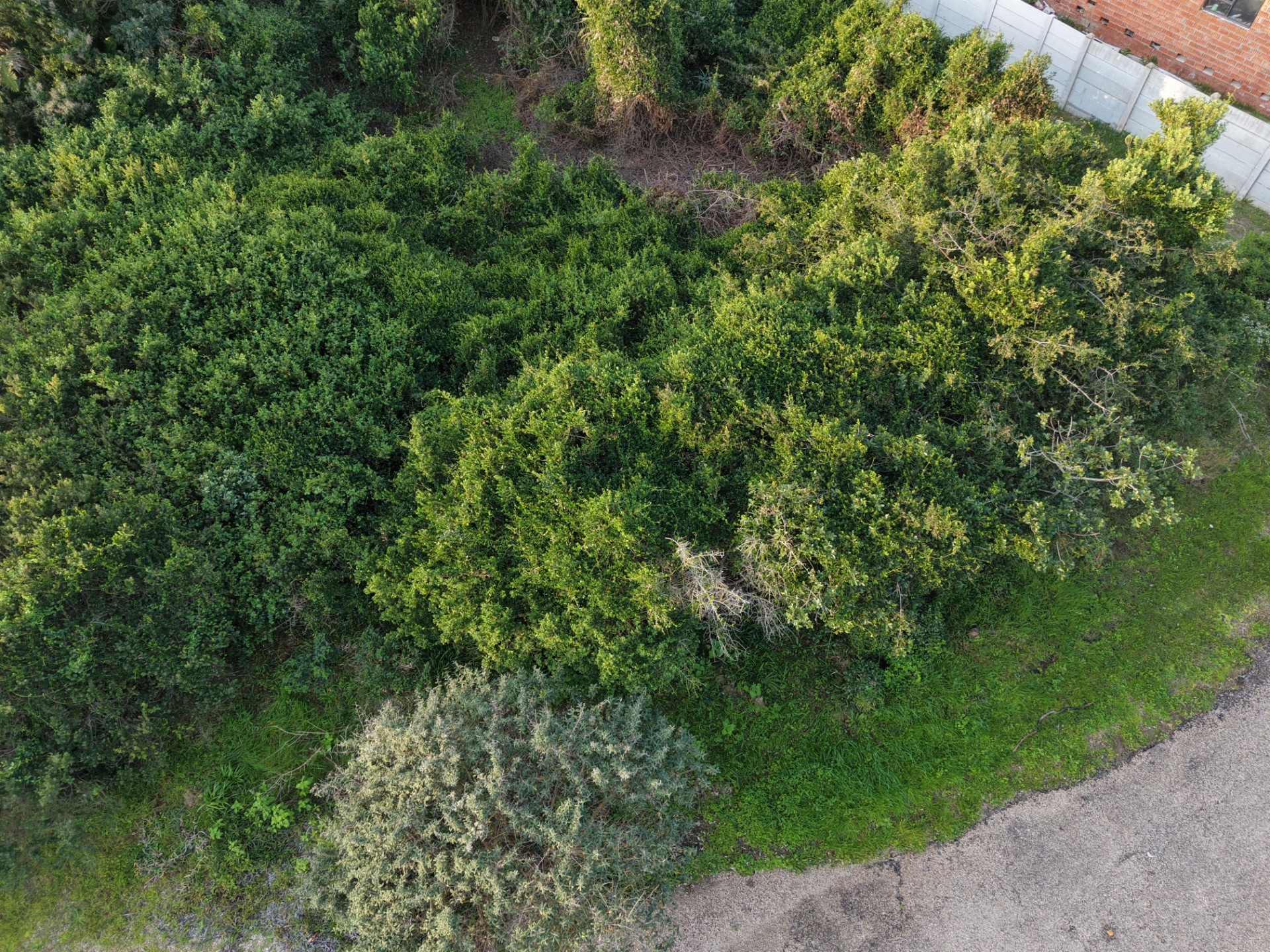 Level Vacant Land For Sale in Aston Bay, Jeffreys Bay
