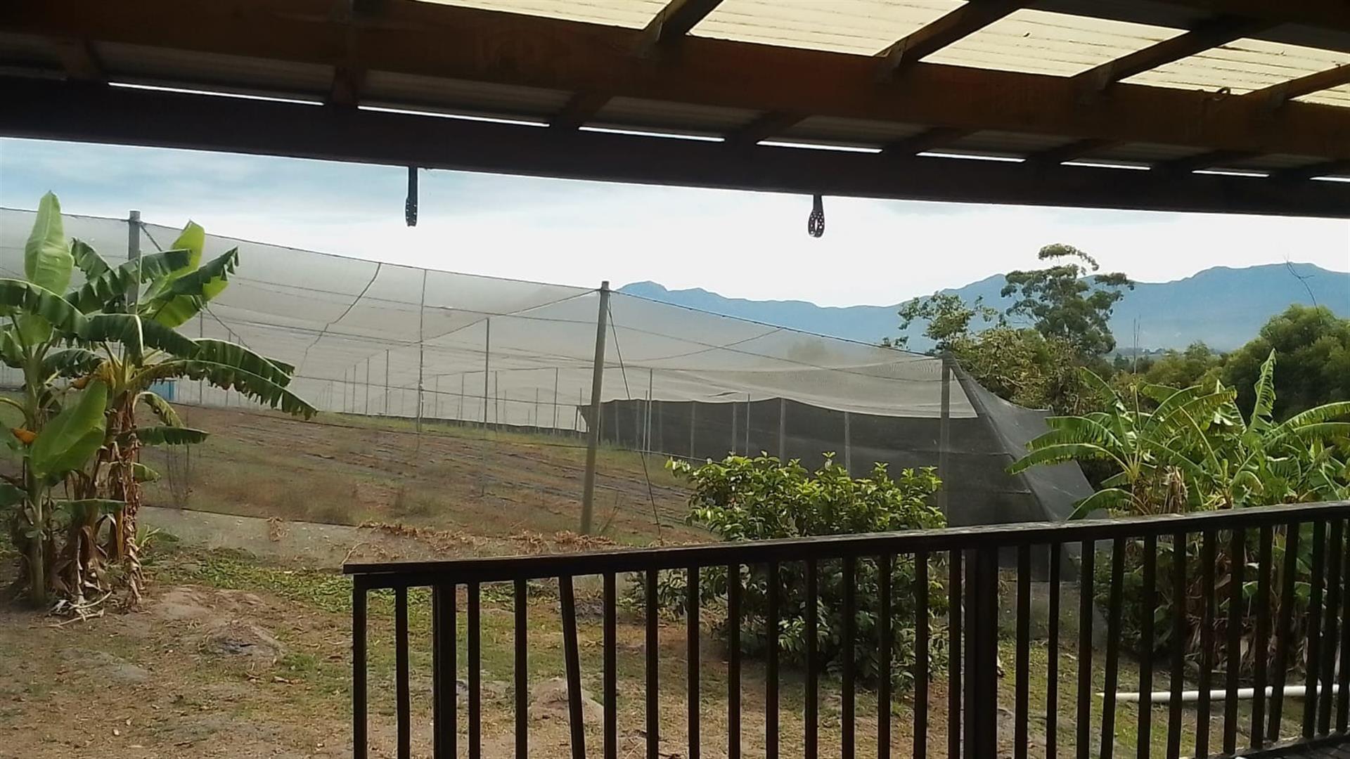 Sedgefield farm for sale
