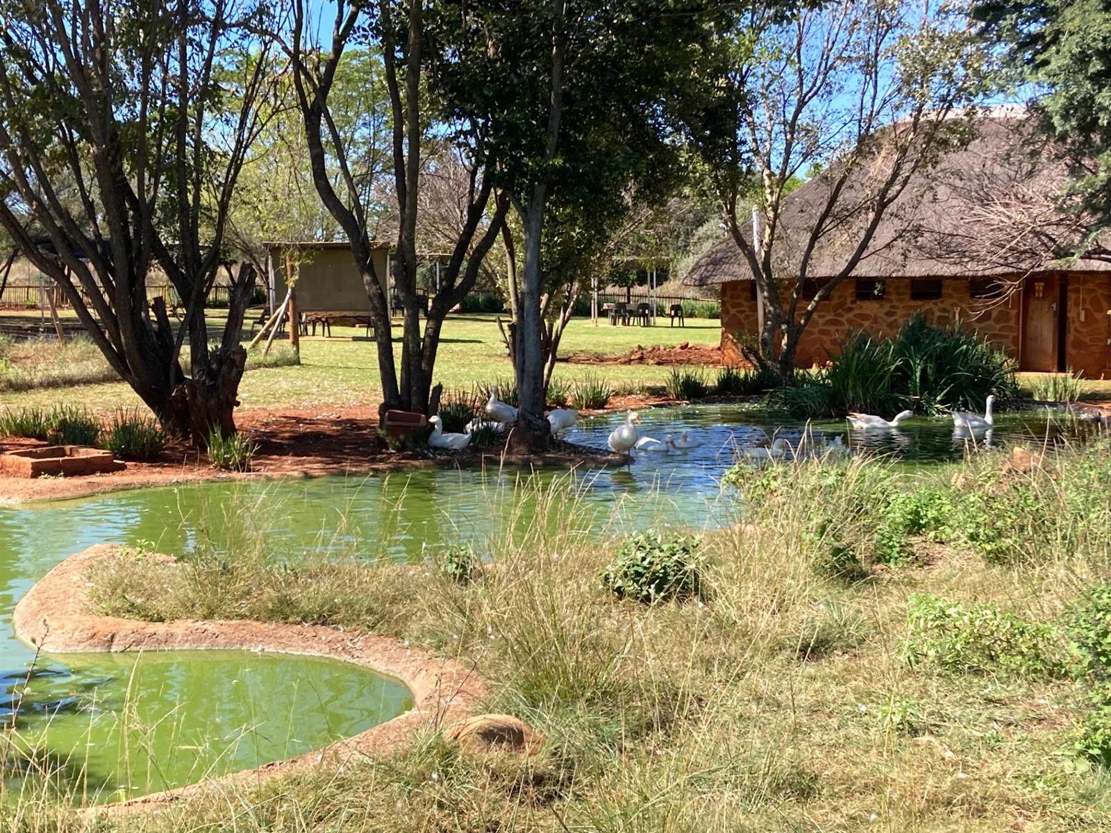 Small Holding for sale in Tiegerpoort AH, Pretoria, 500 m²