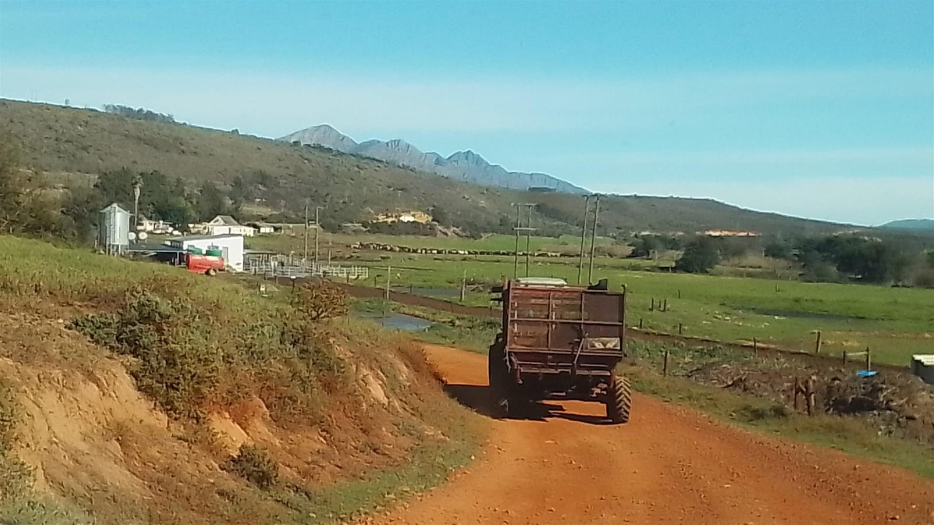 Dairy farm for sale in Kareedouw
