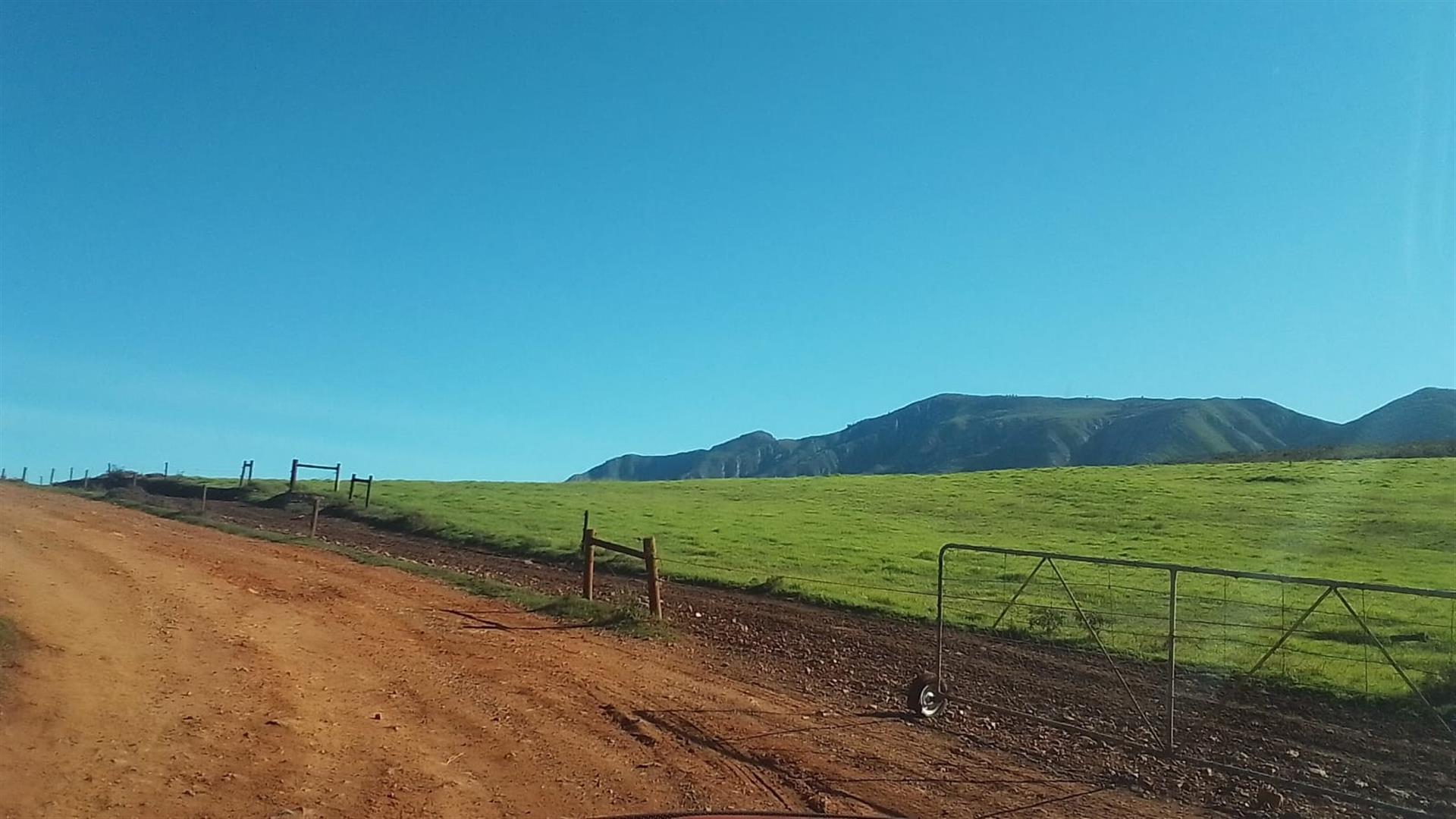 Dairy farm for sale in Kareedouw