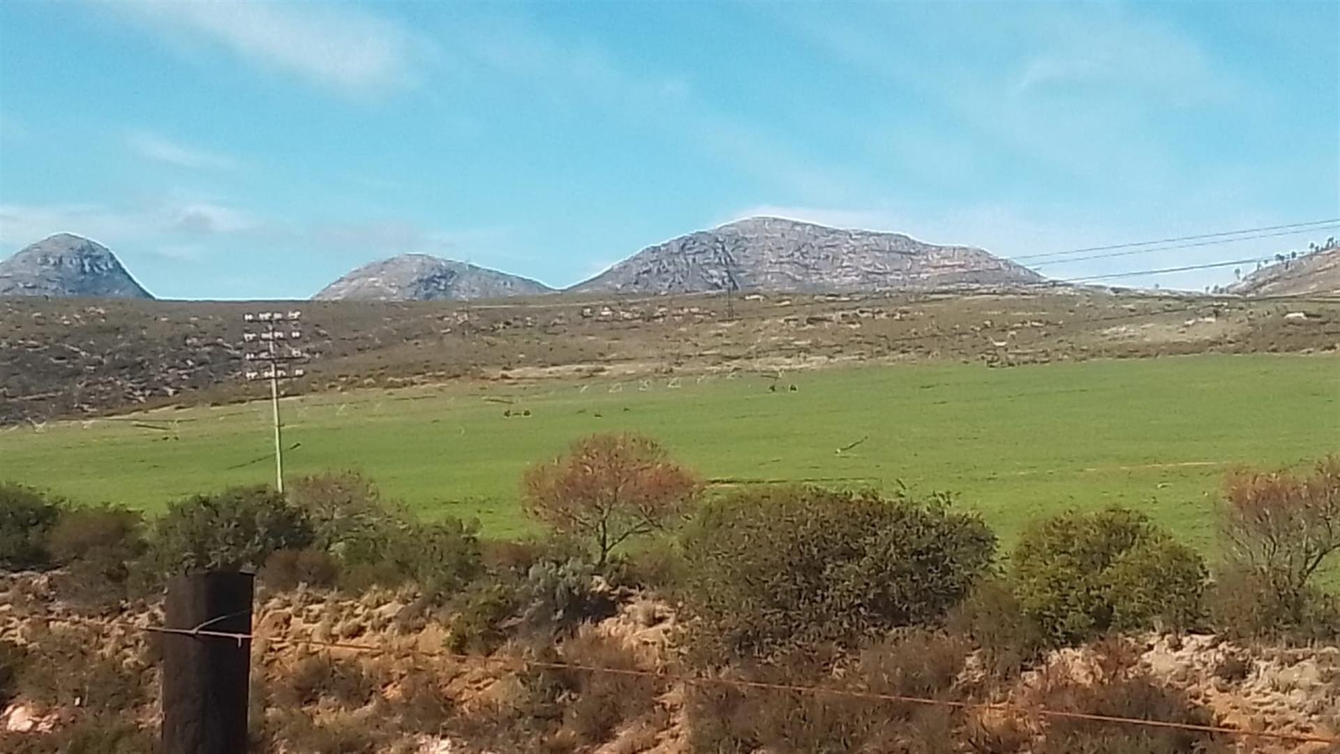 Dairy farm for sale in Kareedouw