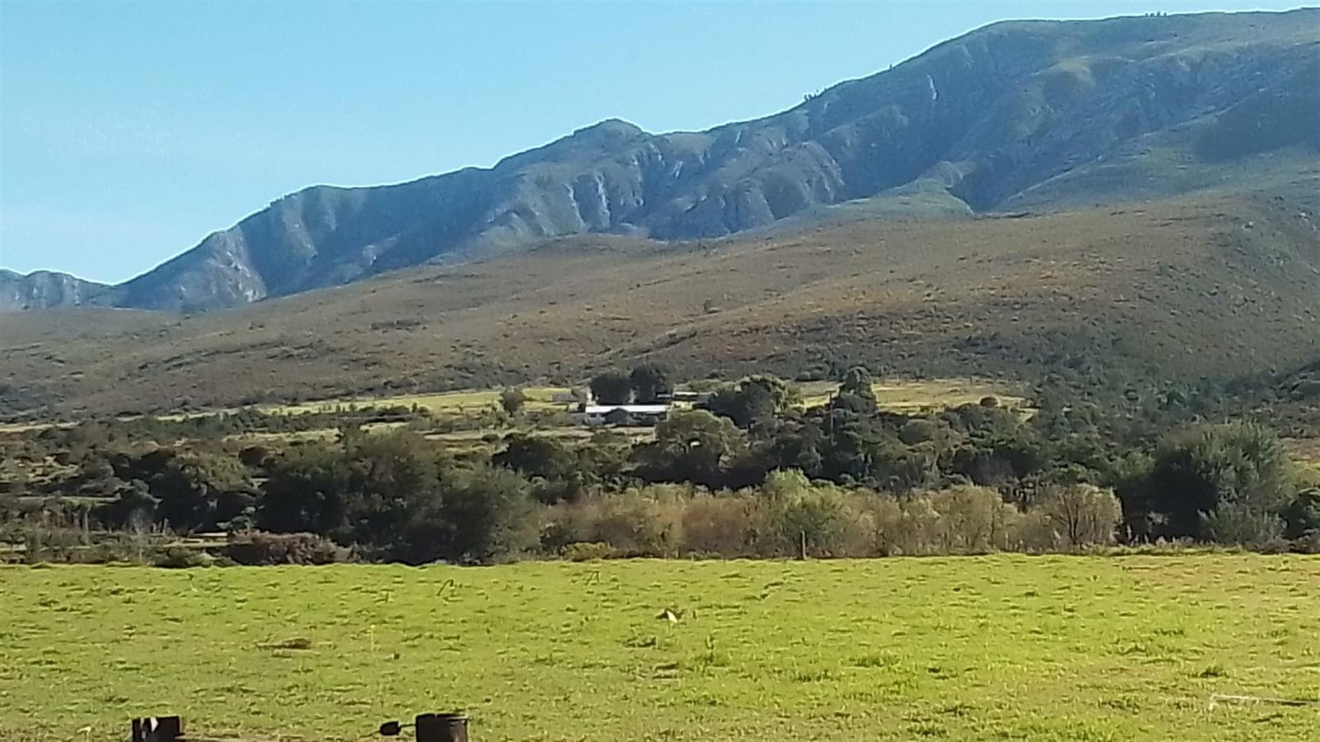 Dairy farm for sale in Kareedouw