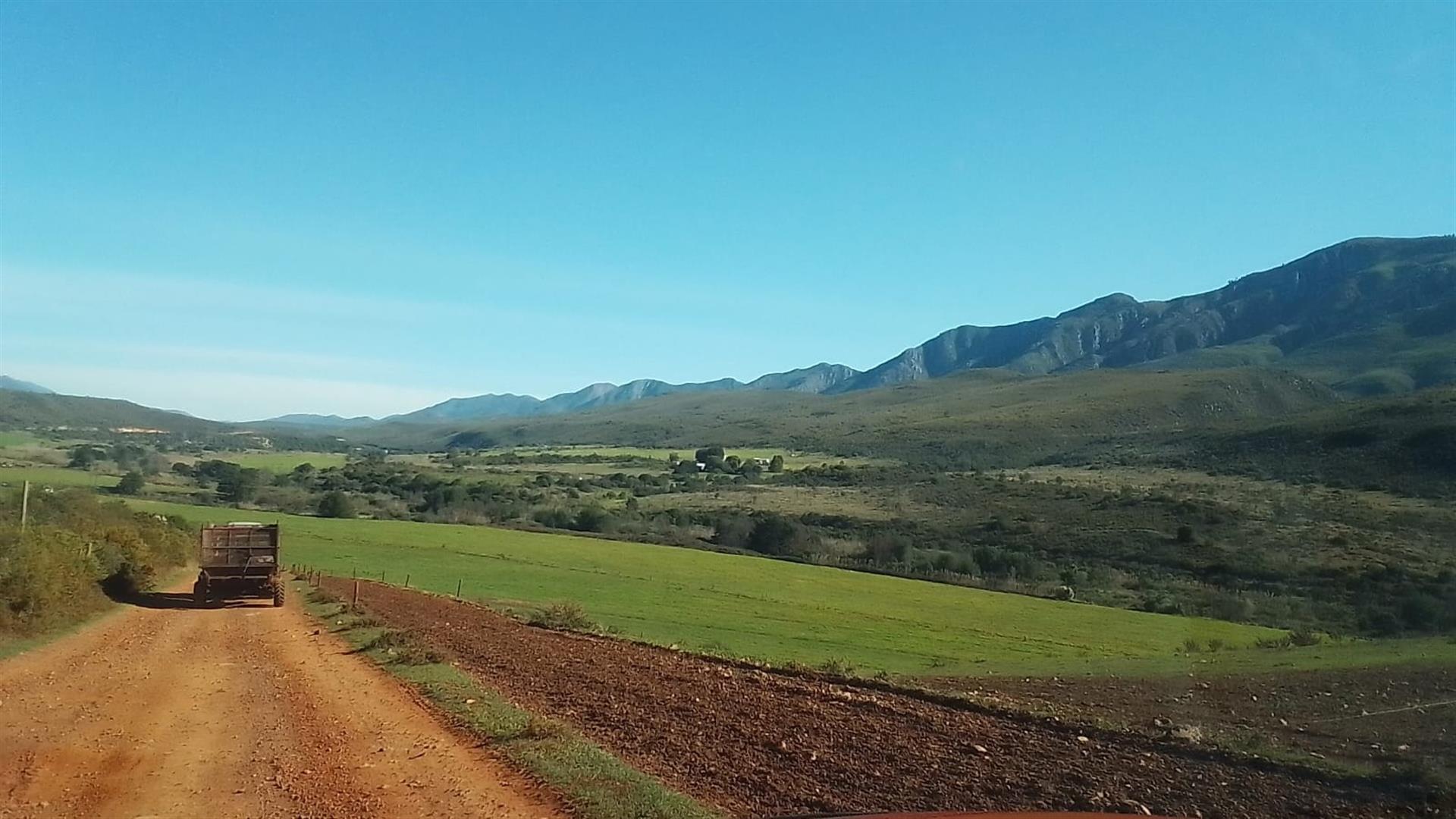 Dairy farm for sale in Kareedouw
