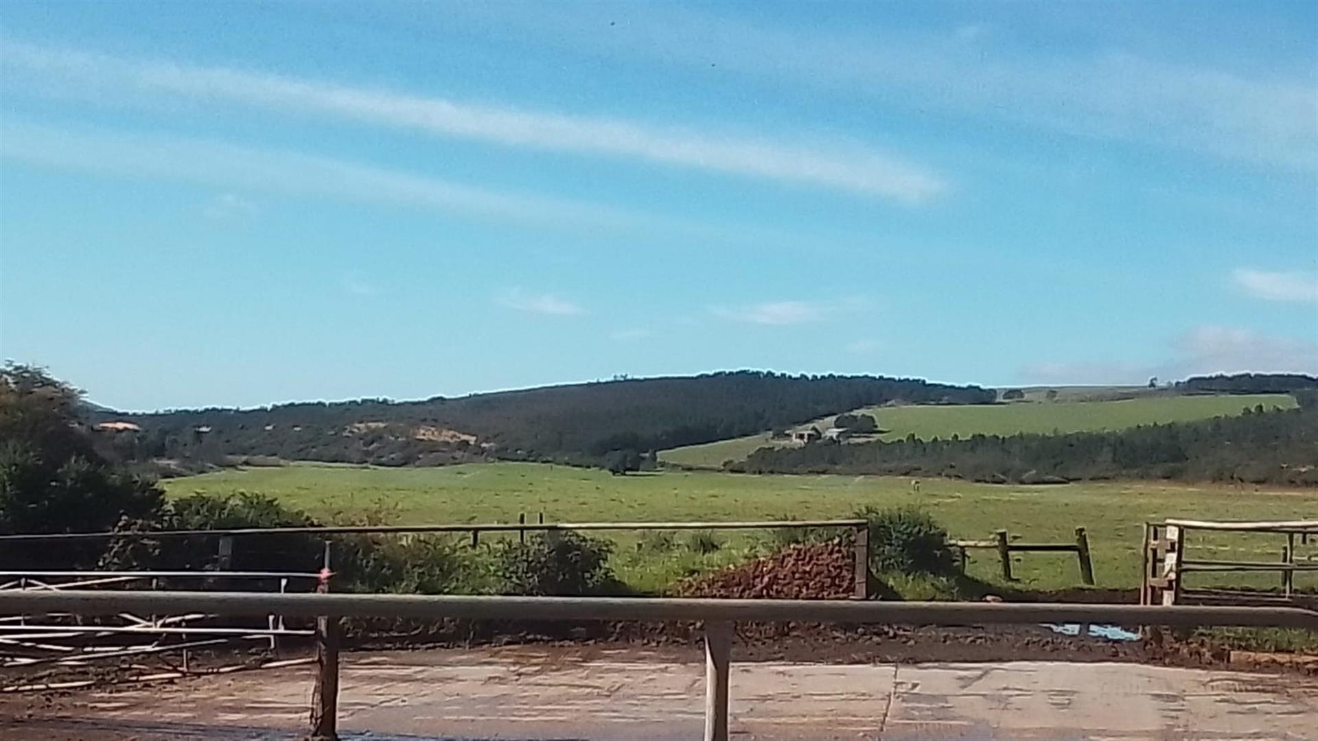 Dairy farm for sale Kareedouw