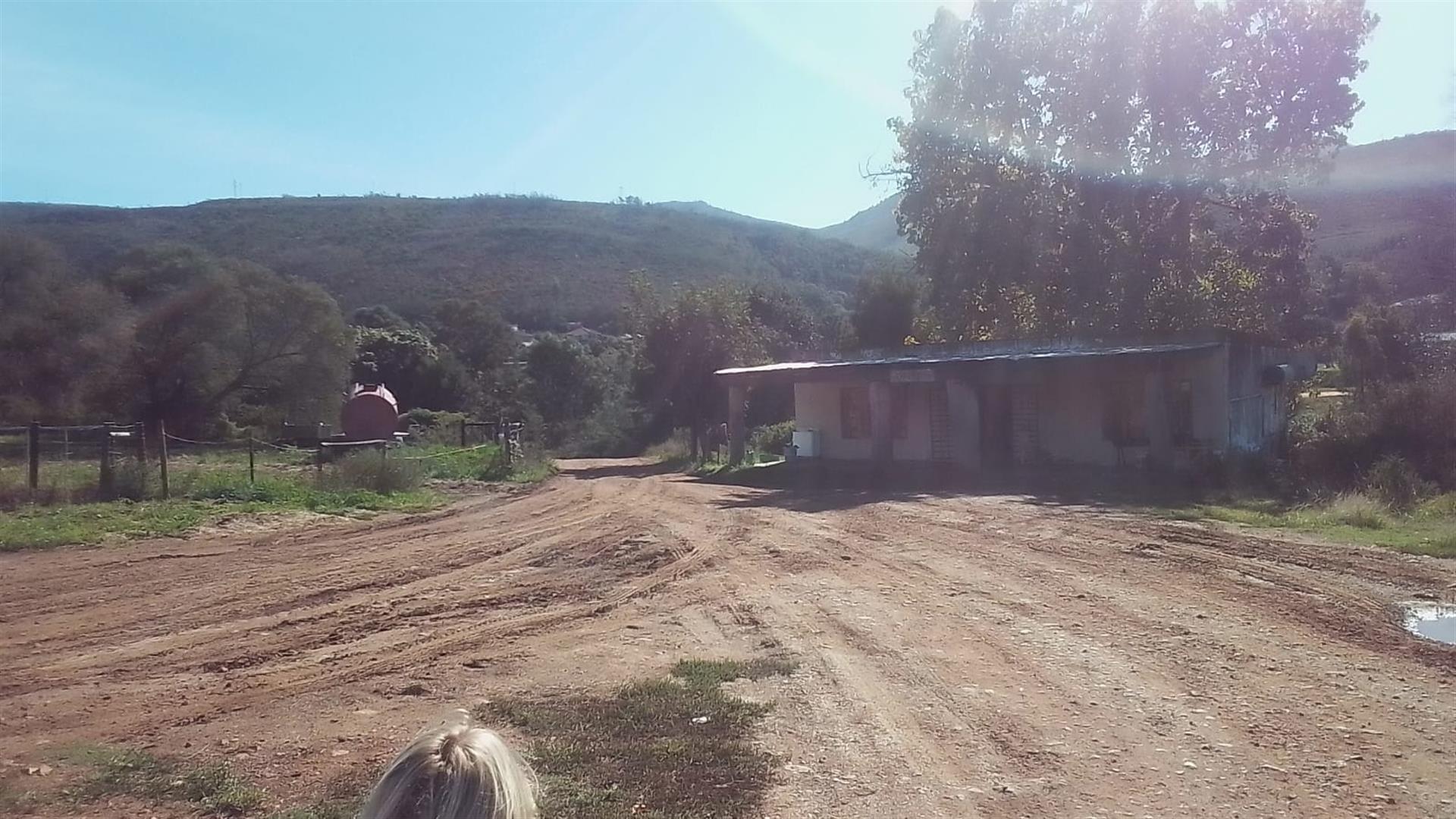 Dairy farm for sale Kareedouw