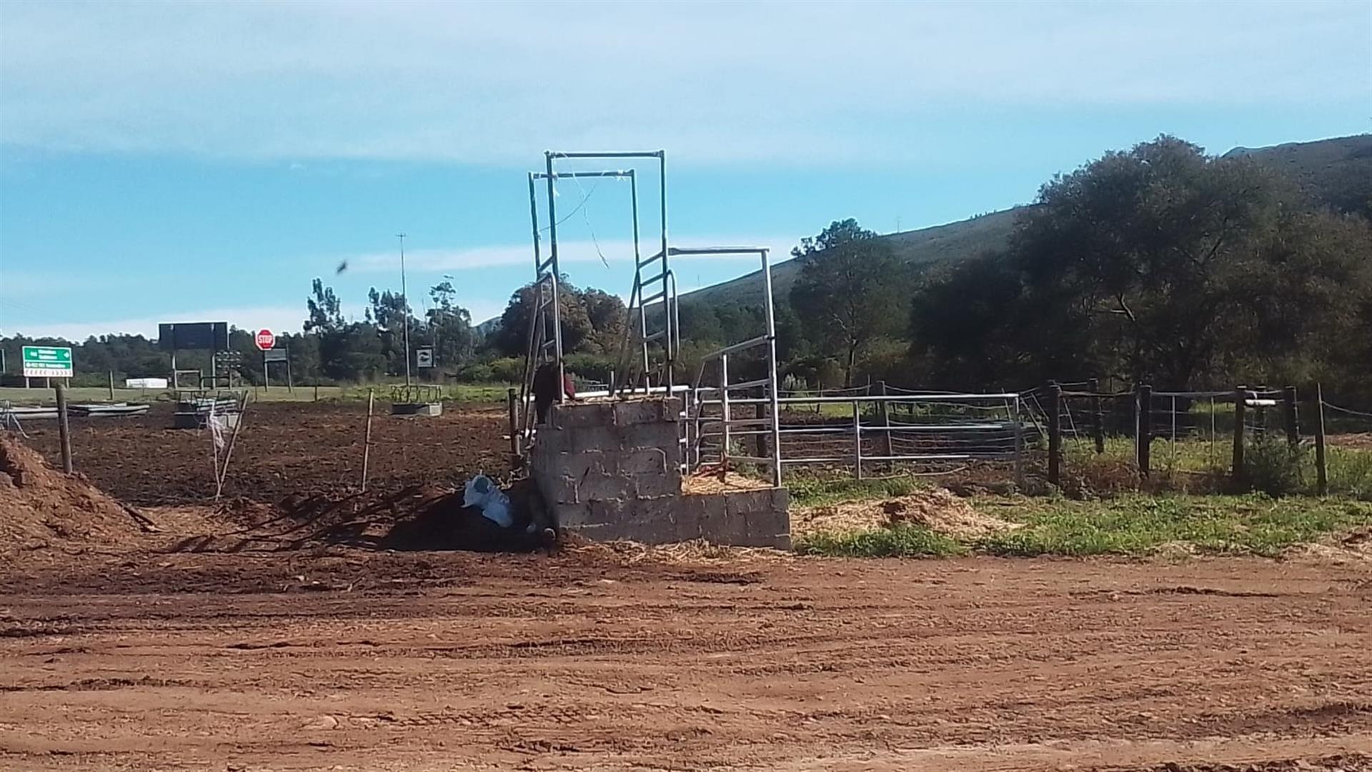 Dairy farm for sale Kareedouw