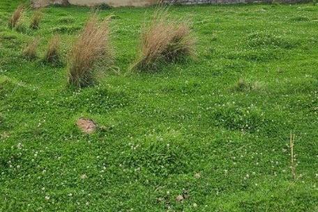 Vacant Land For Sale in Dundee, KwaZulu Natal