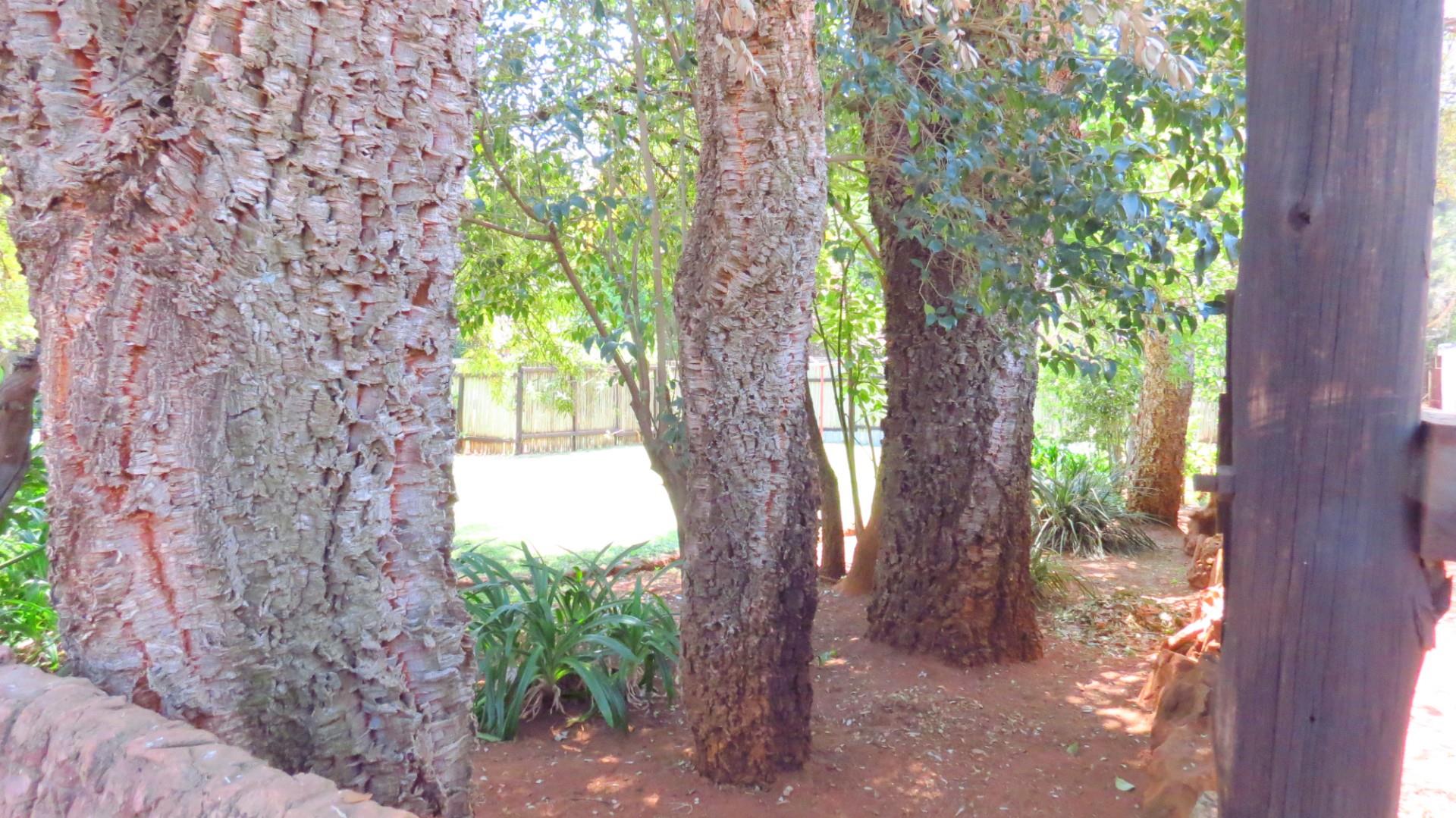 Prime Income-Generating Agricultural Investment - 23.0341 HA Multi-Dwelling Farm