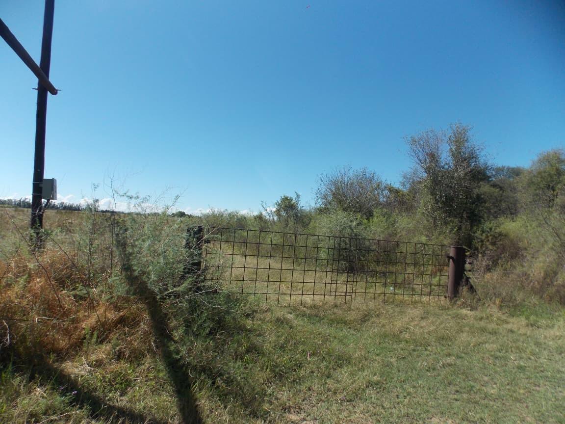 Farm for sale with a lot of opportunities and fishing chalets next to the Vaal River.
