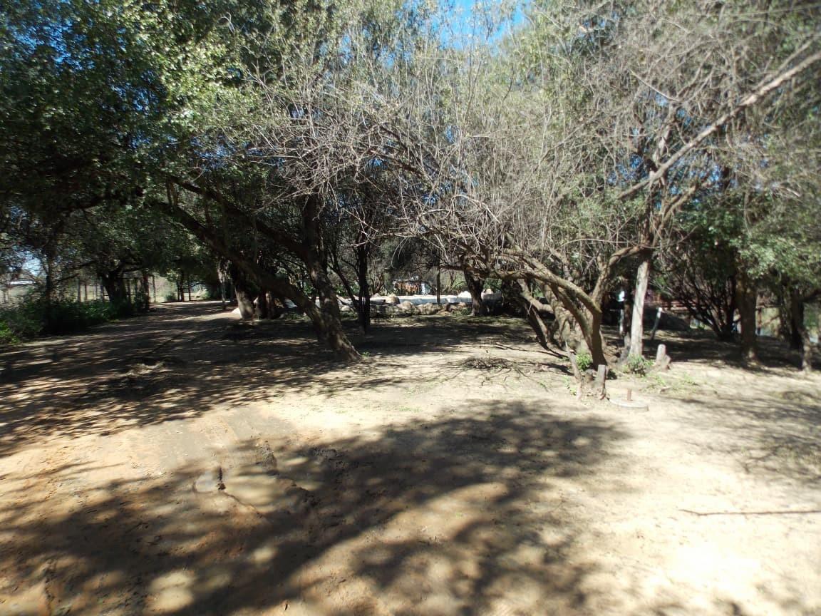 Farm for sale with a lot of opportunities and fishing chalets next to the Vaal River.