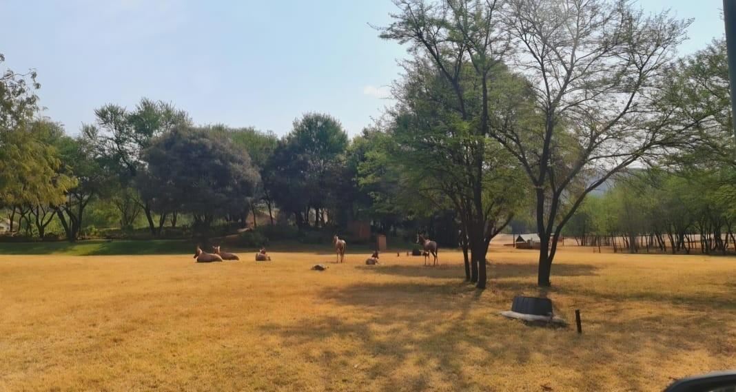 Vacant Land For Sale Buffelspoort Eco Estate