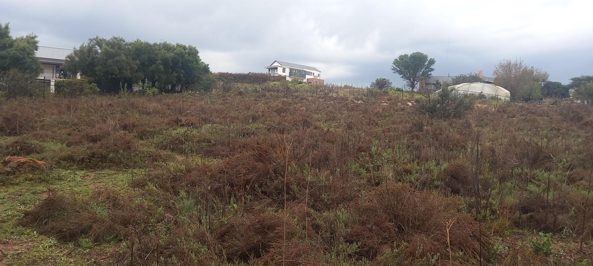 Prime 10,000 m² Stand with Breathtaking Views over Rietvlei Dam