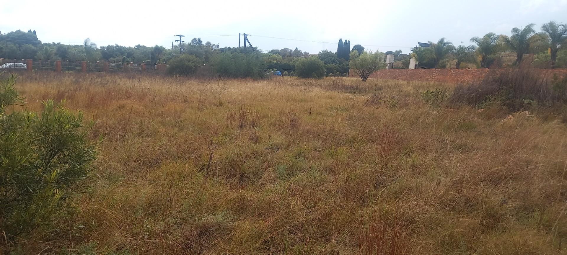 Prime 10,000 m² Vacant Stand - Surrounded by Established Homes