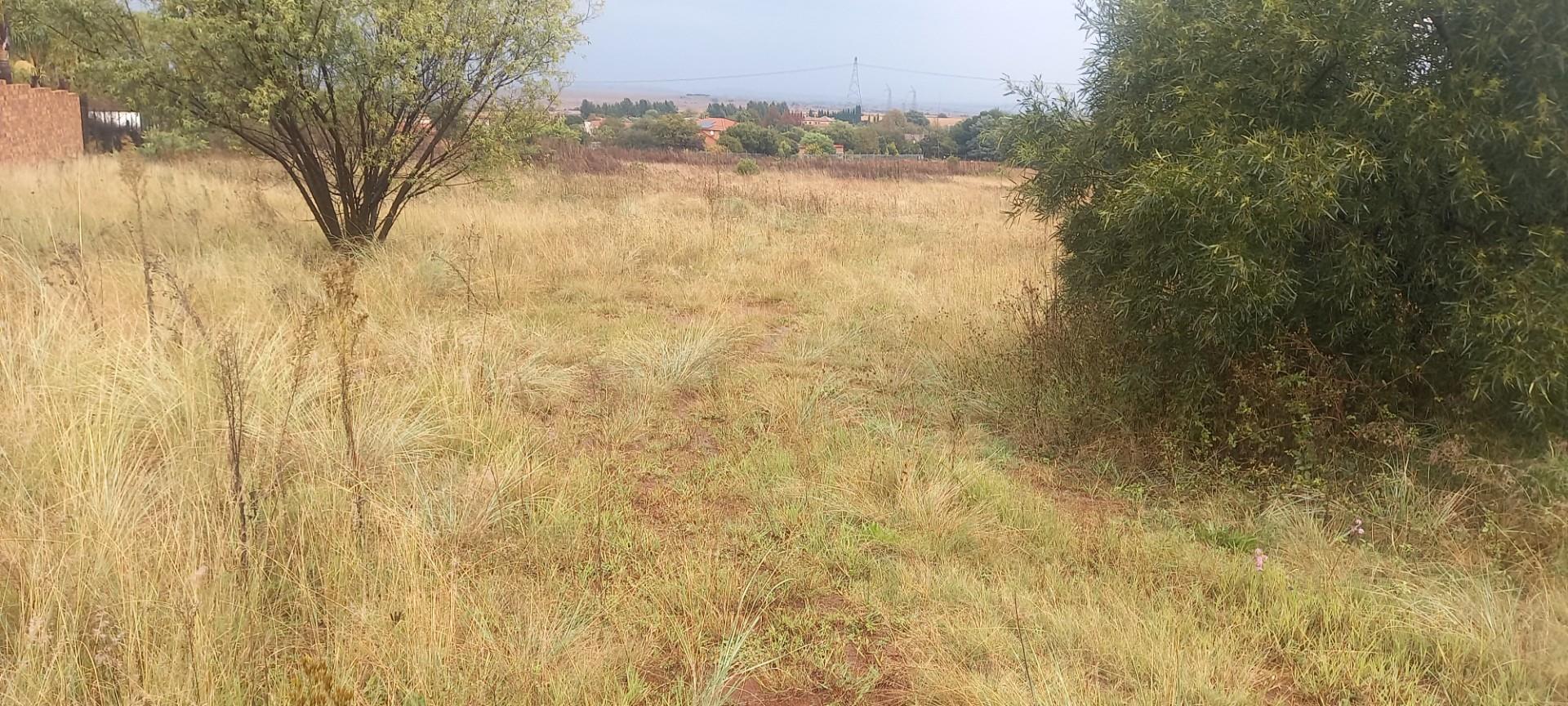 Prime 10,000 m² Vacant Stand - Surrounded by Established Homes
