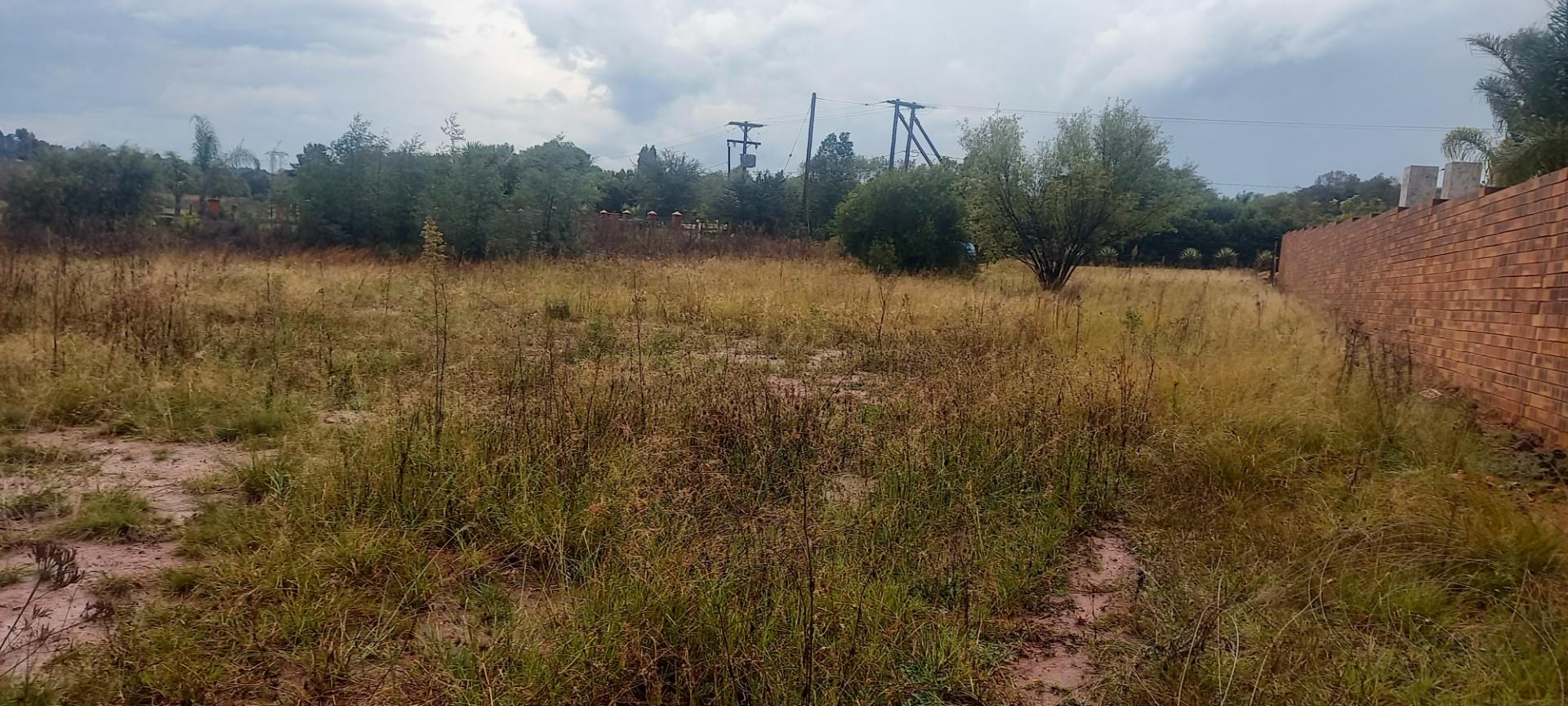 Prime 10,000 m² Vacant Stand - Surrounded by Established Homes