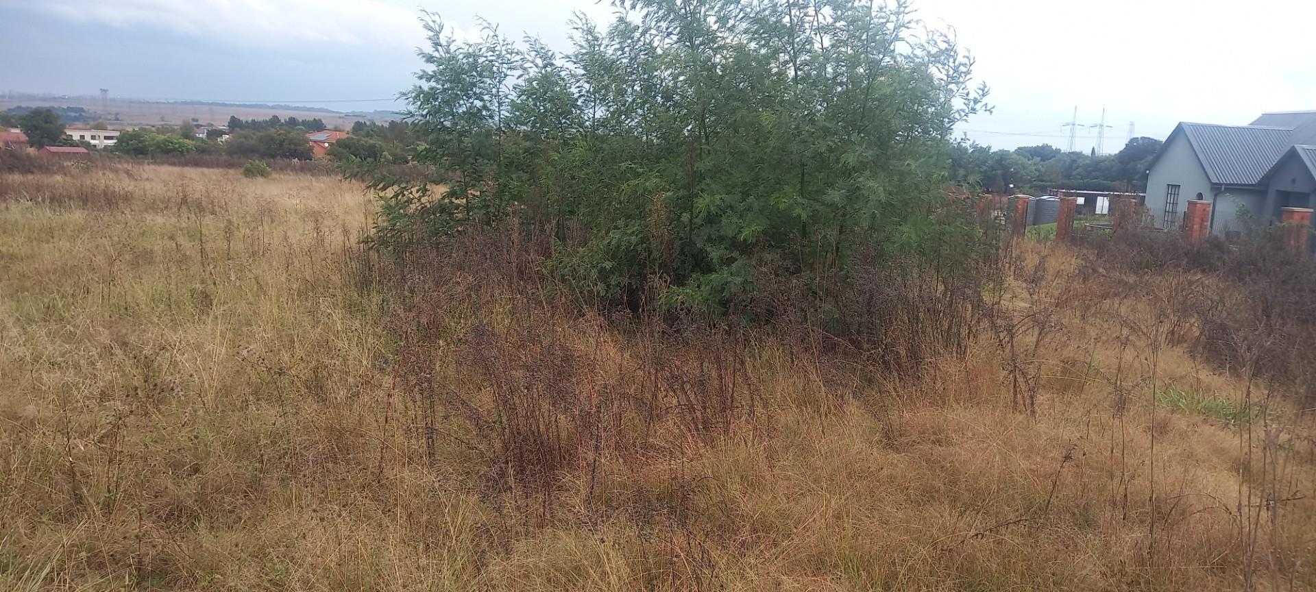 Prime 10,000 m² Vacant Stand - Surrounded by Established Homes