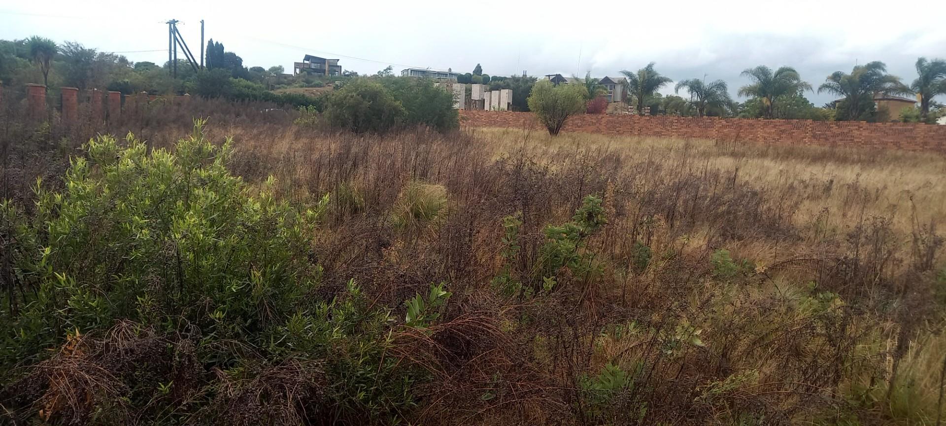 Prime 10,000 m² Vacant Stand - Surrounded by Established Homes