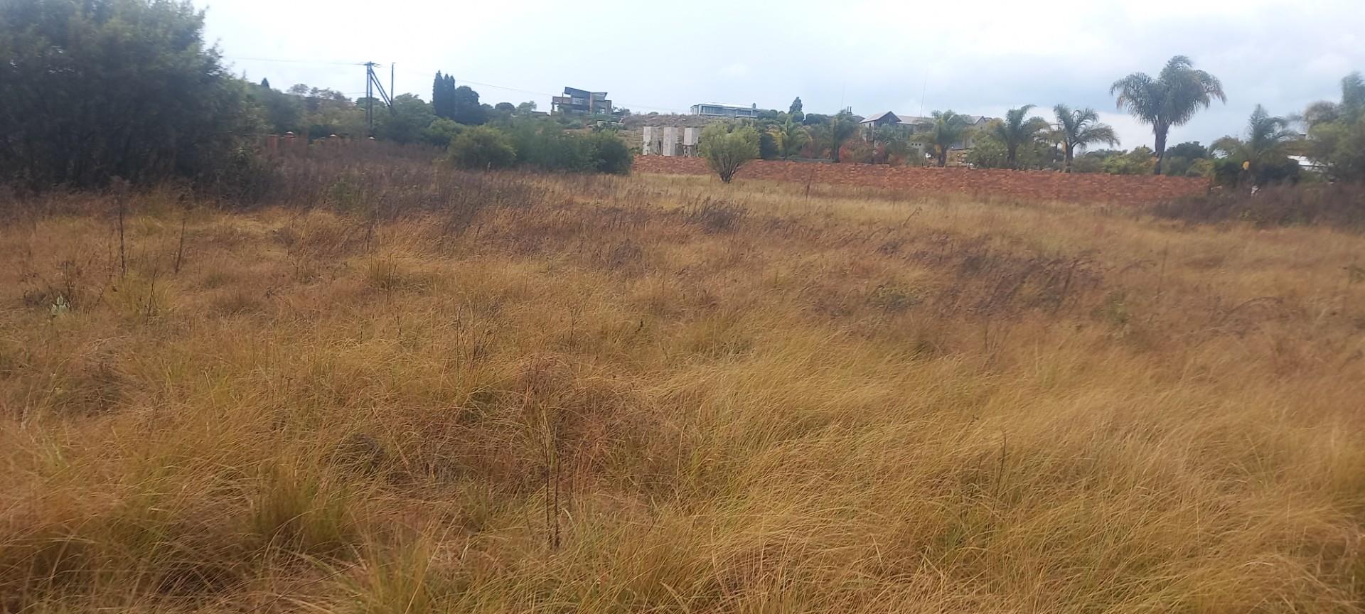 Prime 10,000 m² Vacant Stand - Surrounded by Established Homes