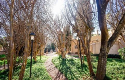 Stunning Heritage Characterful Commercial Property To Rent in Johannesburg
