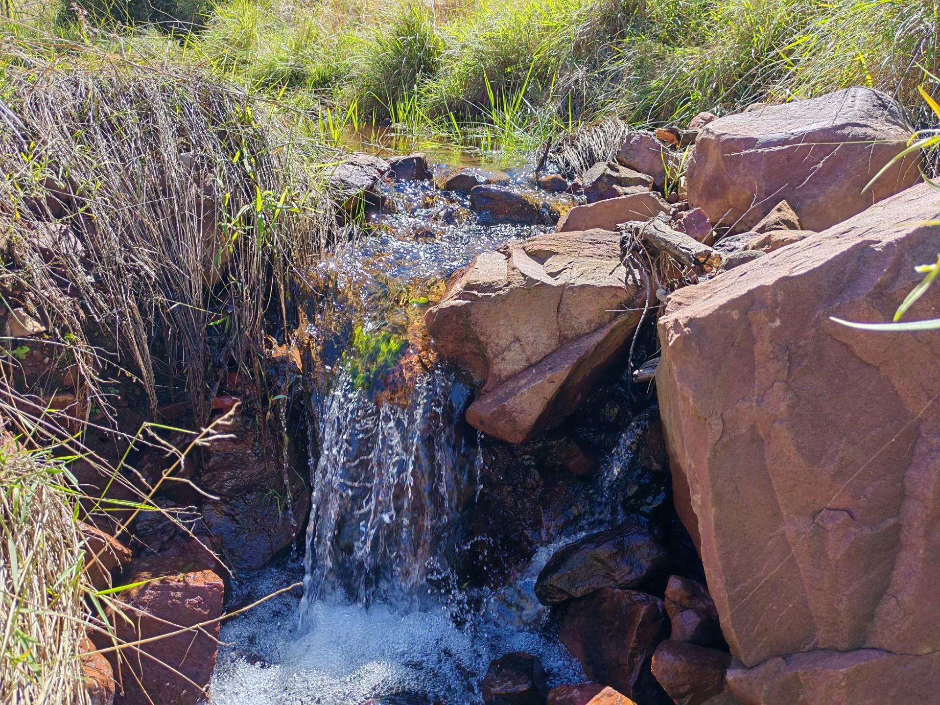 Cattle and Game Farm with abundant water and infrastructure for sale near Modimolle