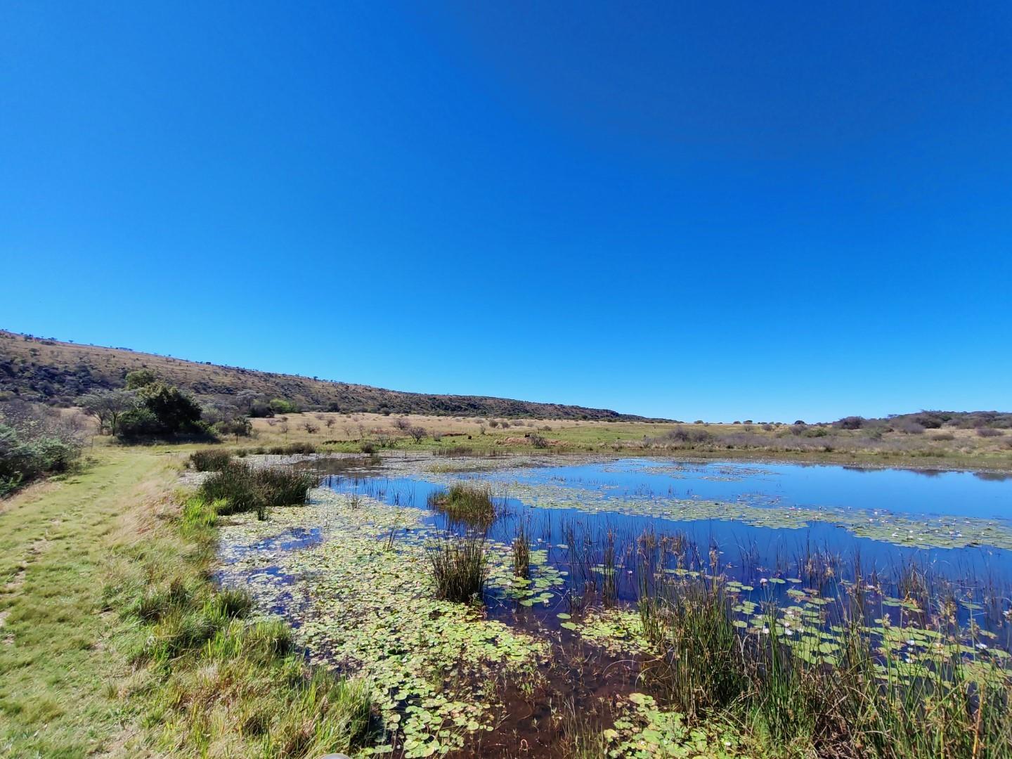 Cattle and Game Farm with abundant water and infrastructure for sale near Modimolle