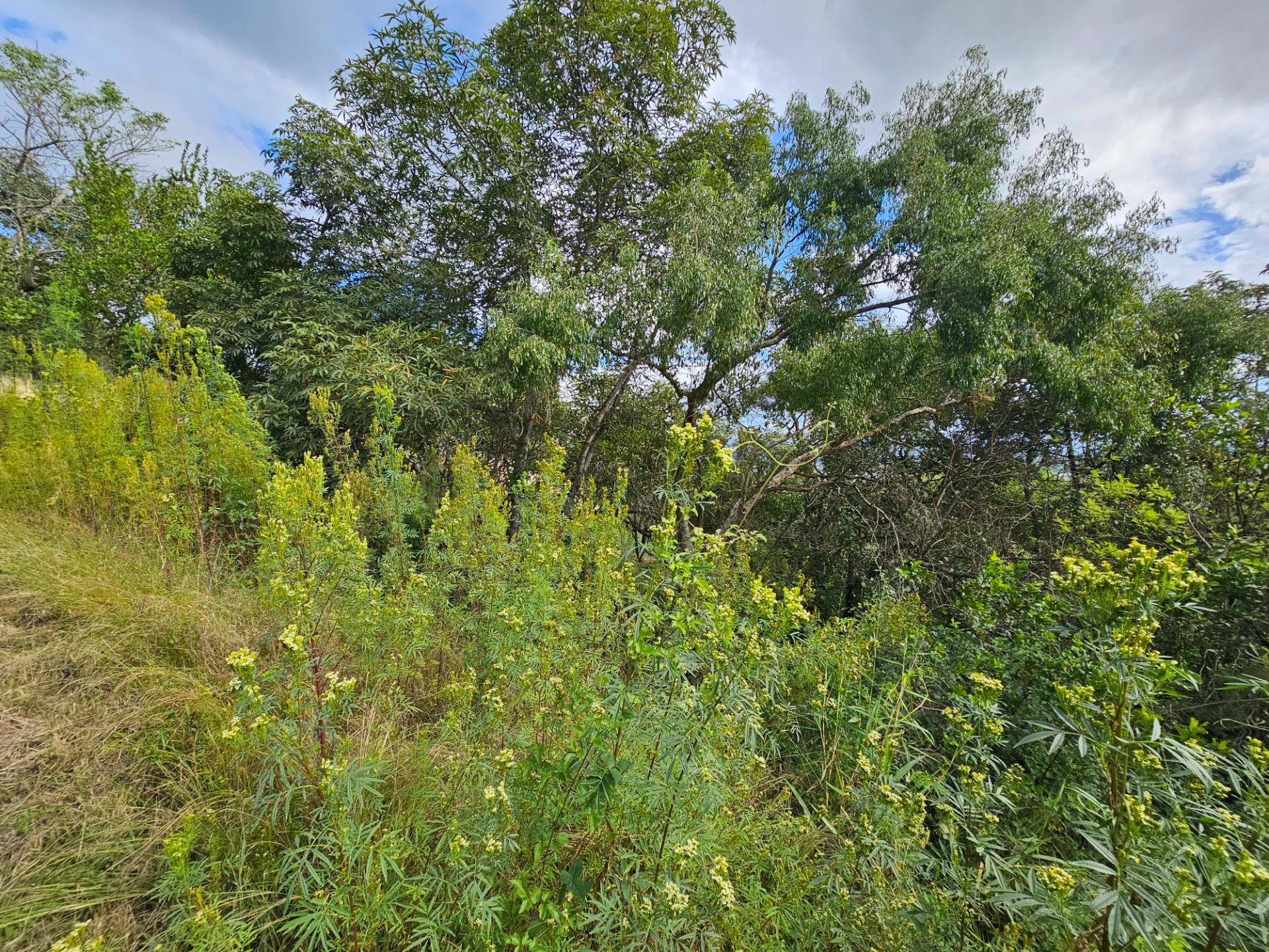 Vacant Land For Sale in Drum Rock Nelspruit