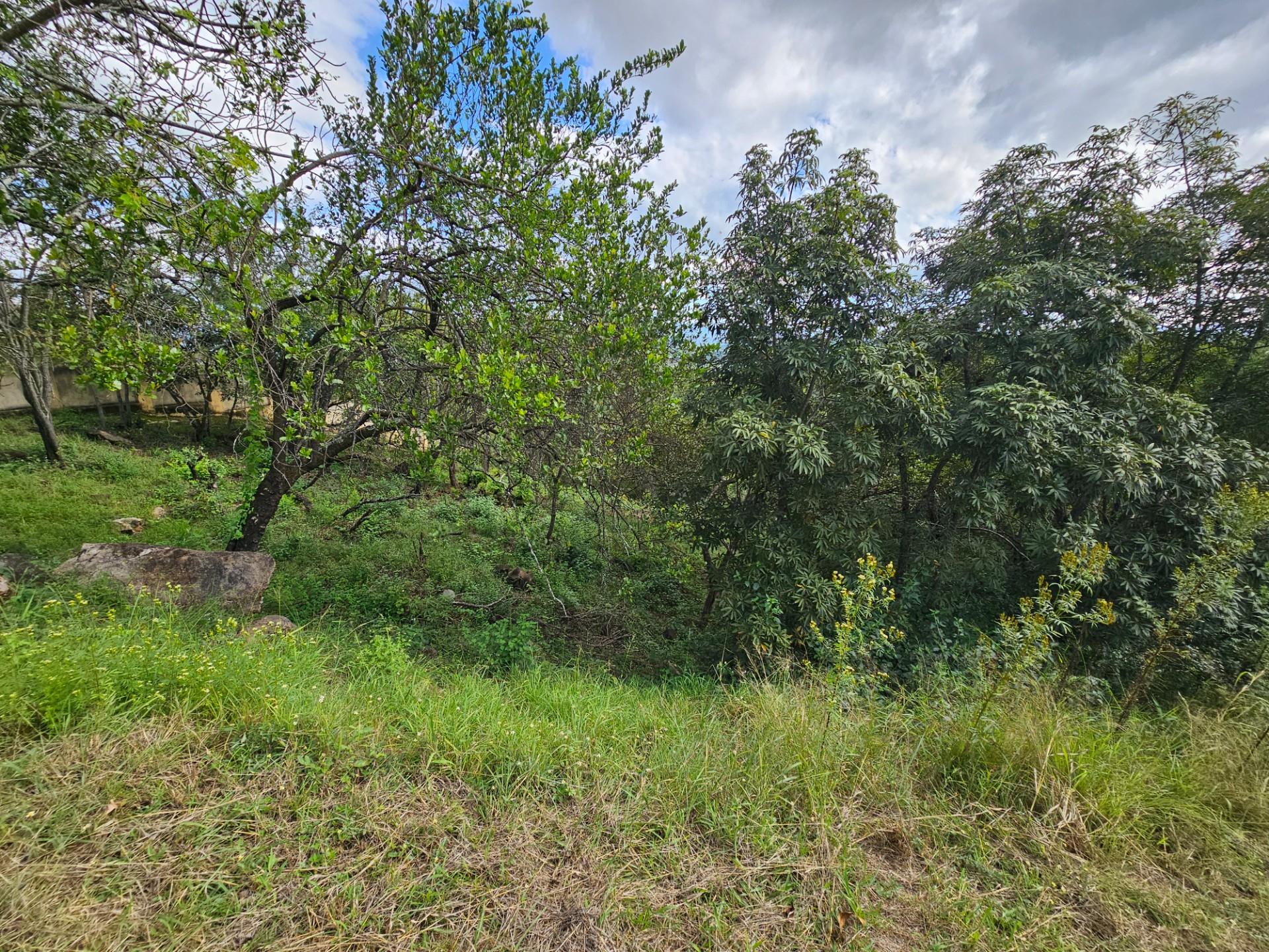Vacant Land For Sale in Drum Rock Nelspruit