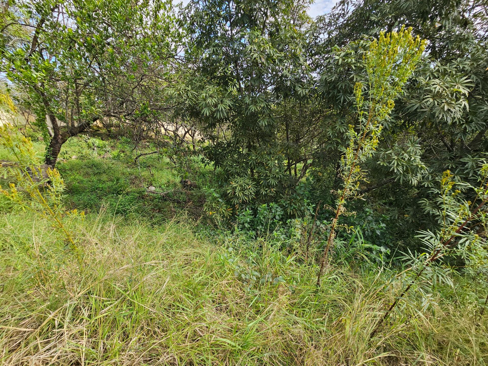 Vacant Land For Sale in Drum Rock Nelspruit