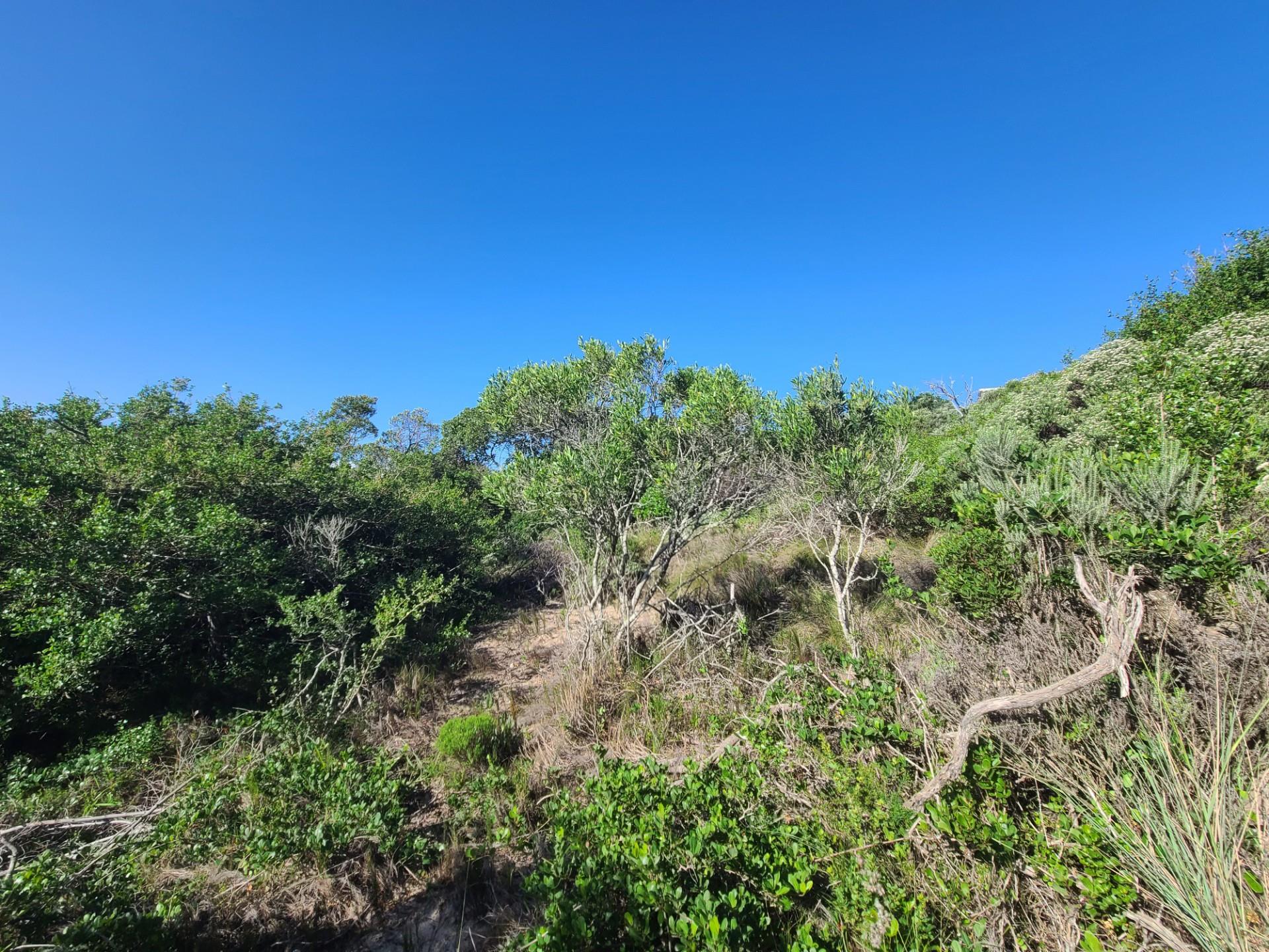 Spectacular westerly views in Paradise Beach