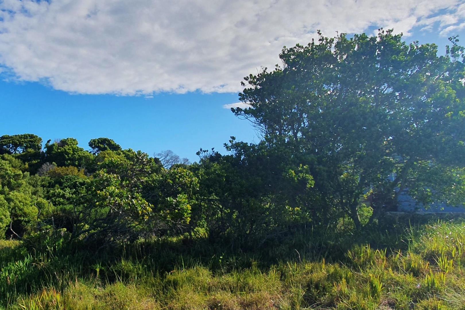 Vacant Land for sale in Paradise Beach, Jeffreys Bay, 759 m²