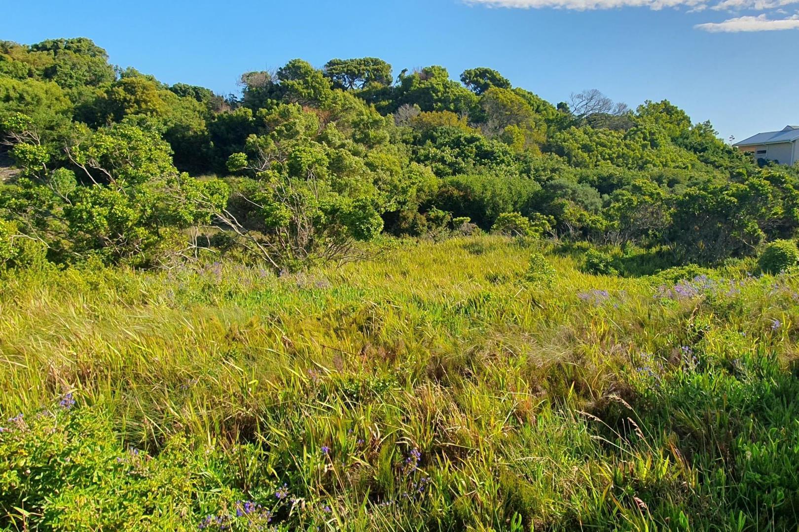Vacant Land for sale in Paradise Beach, Jeffreys Bay, 759 m²