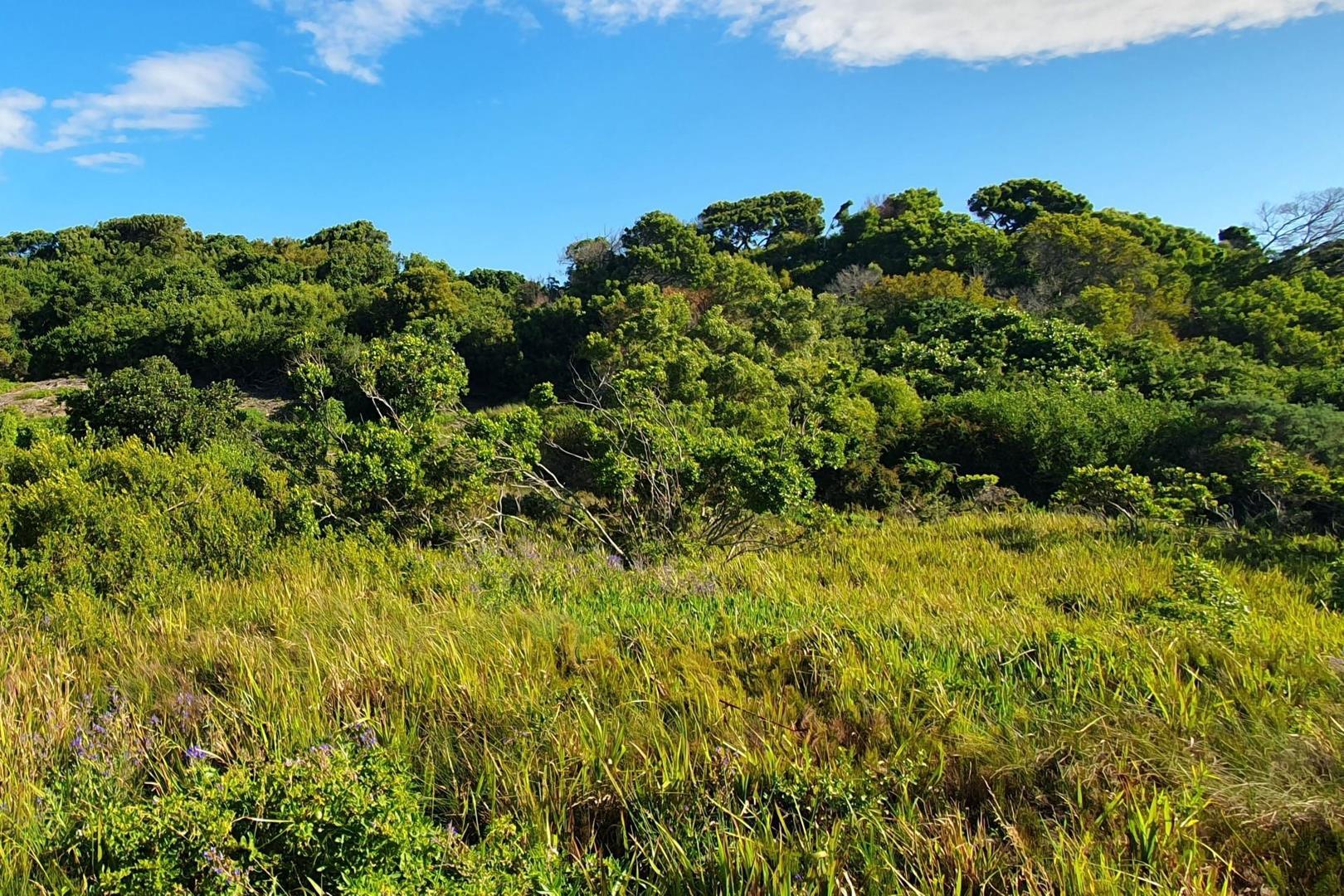 Vacant Land for sale in Paradise Beach, Jeffreys Bay, 759 m²