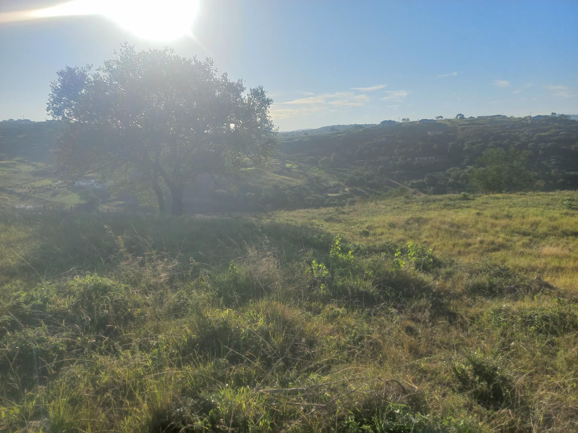 Vacant Land For Sale in Pietermaritzburg Rural Pietermaritzburg KwaZulu Natal