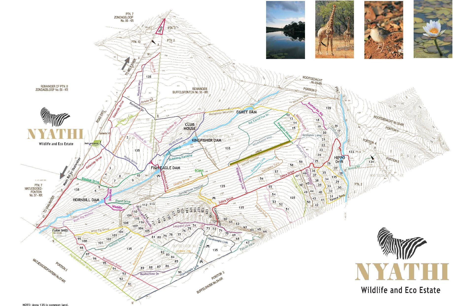 Exclusive 2-Hectare Bushveld Stand For Sale in Nyathi Wildlife Eco Estate, Vaalwater