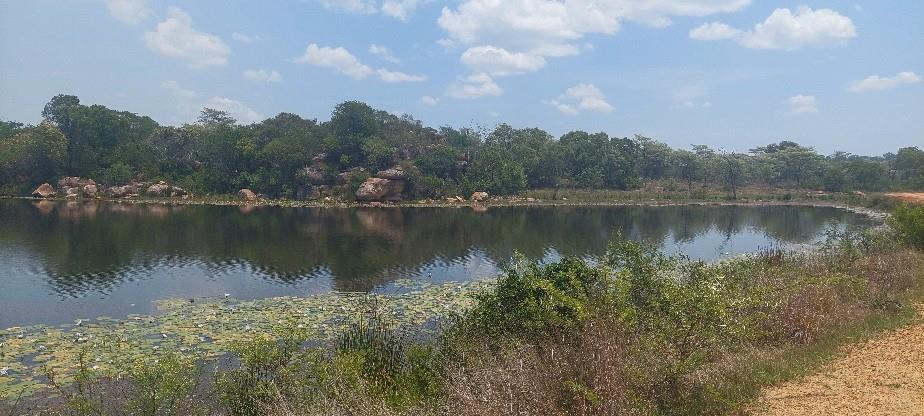 Exclusive 2-Hectare Bushveld Stand For Sale in Nyathi Wildlife Eco Estate, Vaalwater