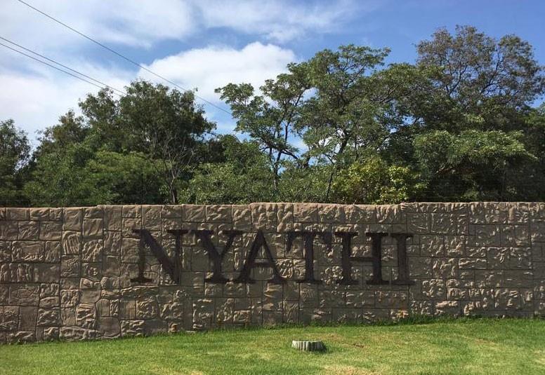 Exclusive 2-Hectare Bushveld Stand For Sale in Nyathi Wildlife Eco Estate, Vaalwater
