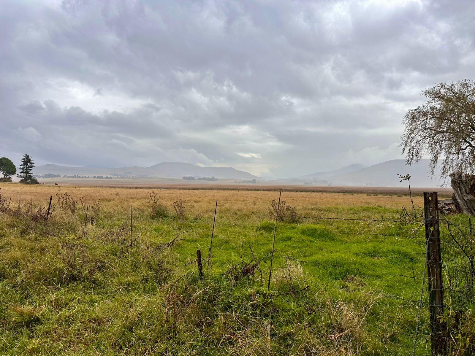Vacant Land For Sale in Wakkerstroom.