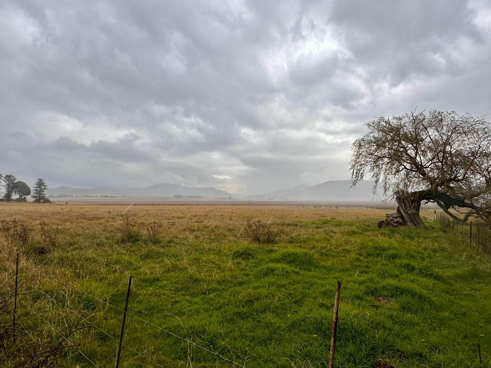 Vacant Land For Sale in Wakkerstroom.